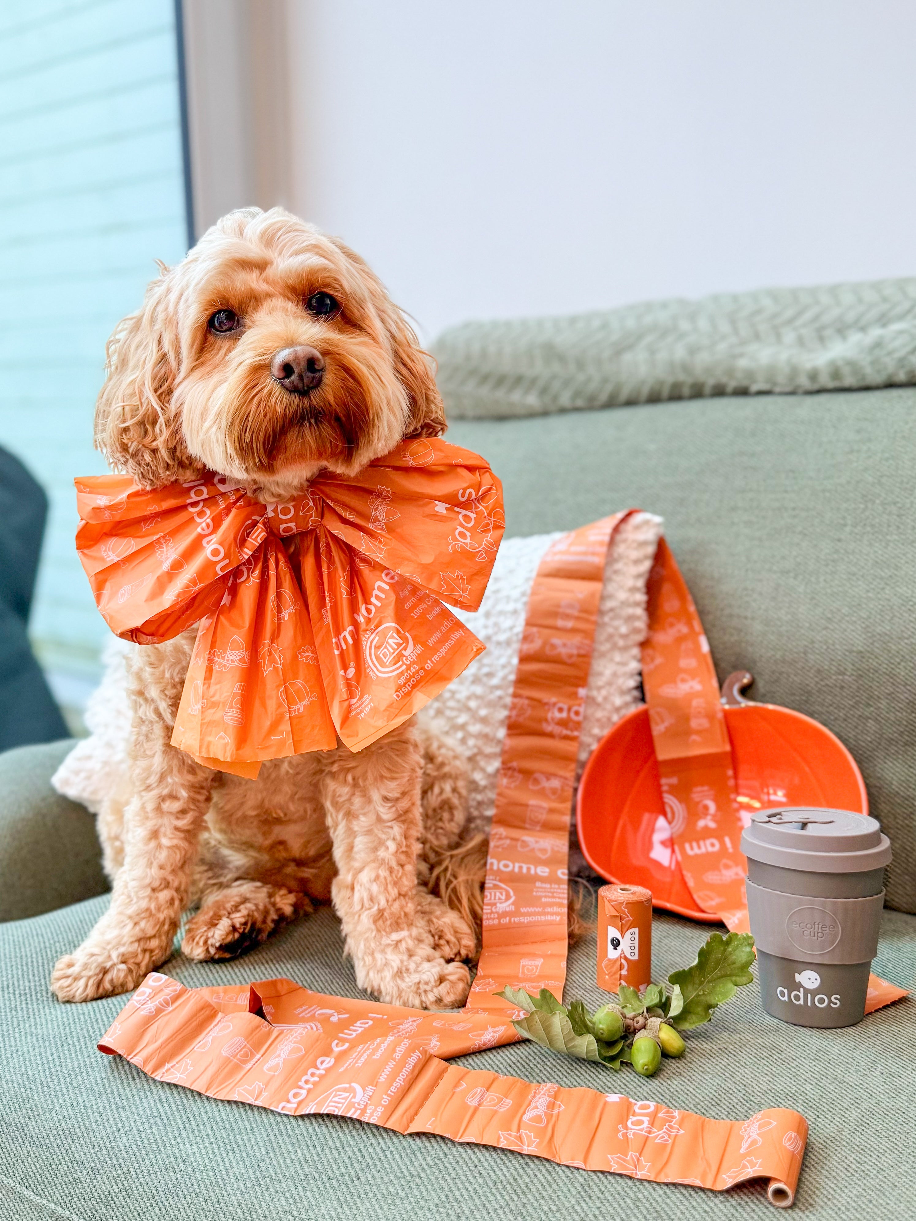 Autumn Compostable Dog Poo Bags (Limited Edition 2025) 🍂