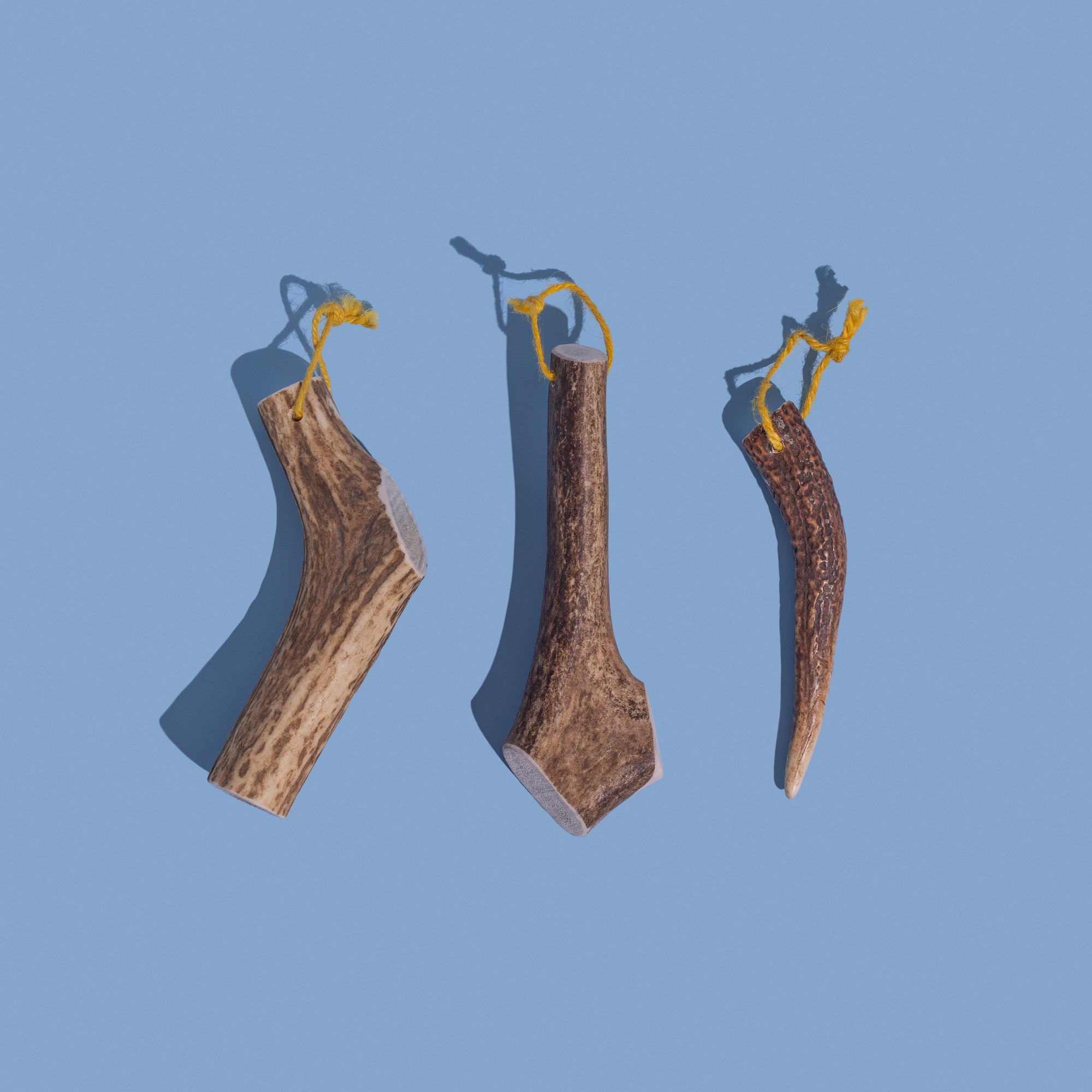 🦌 Original Antler Chew 🐾