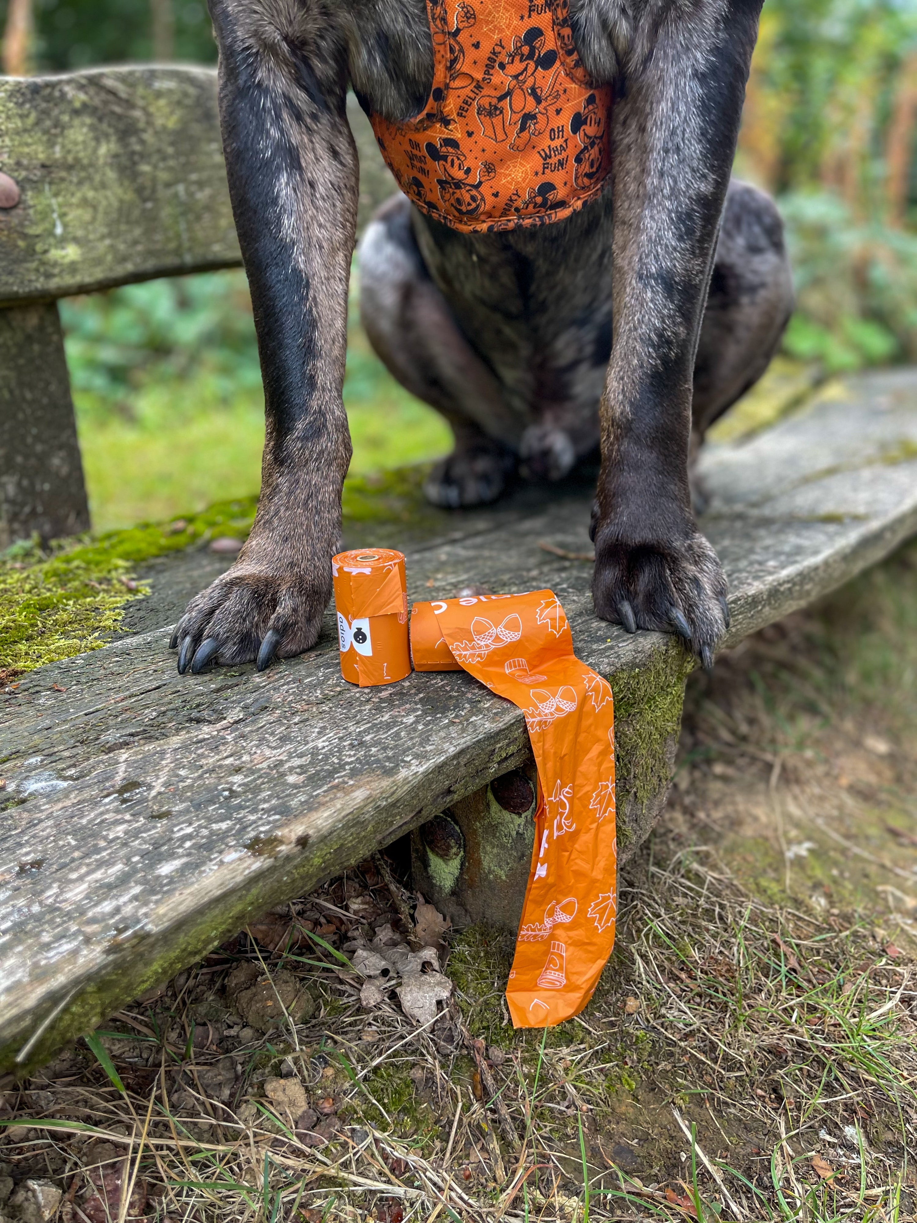 Autumn Compostable Dog Poo Bags (Limited Edition 2025) 🍂