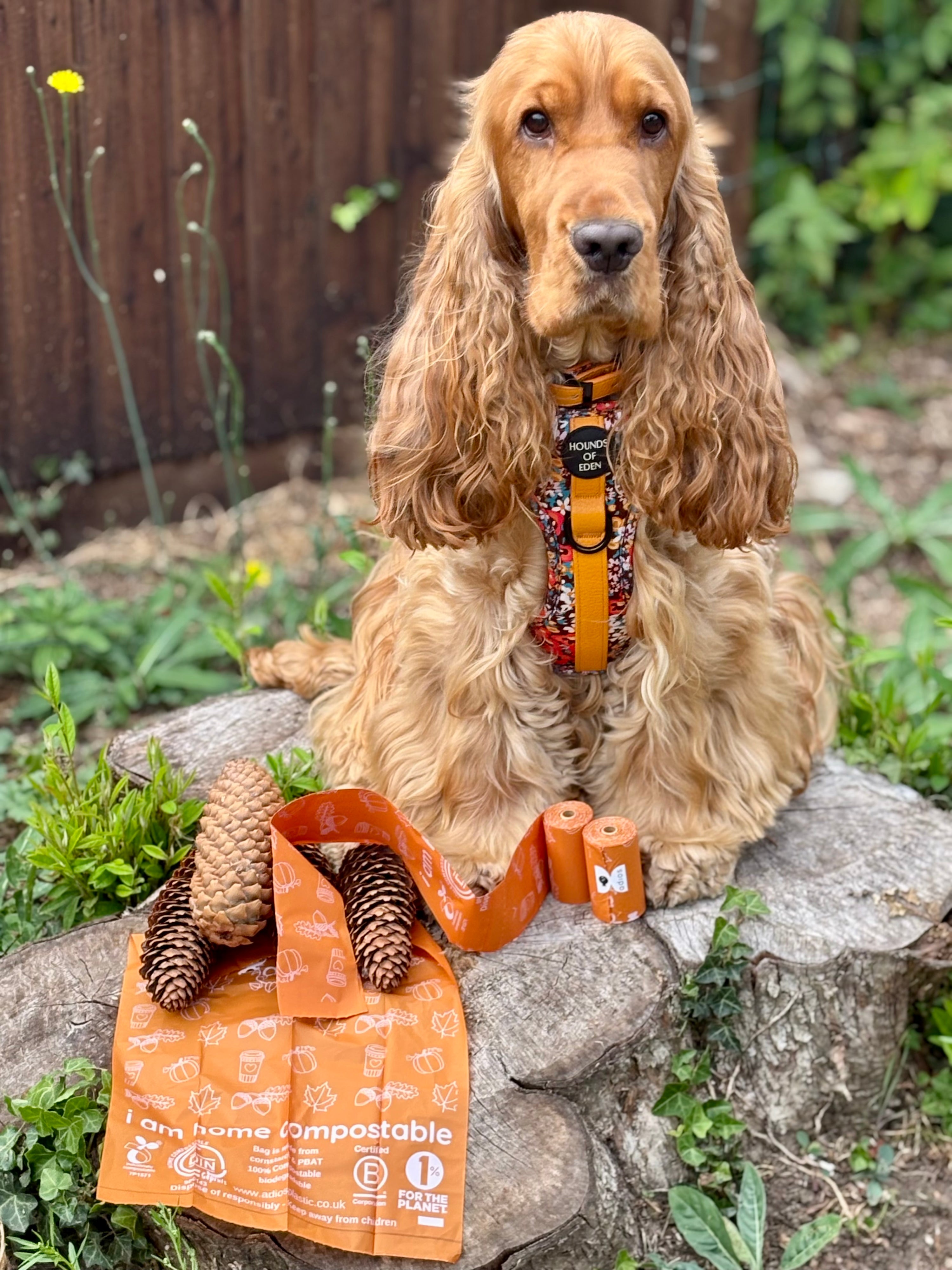 Autumn Compostable Dog Poo Bags (Limited Edition 2025) 🍂