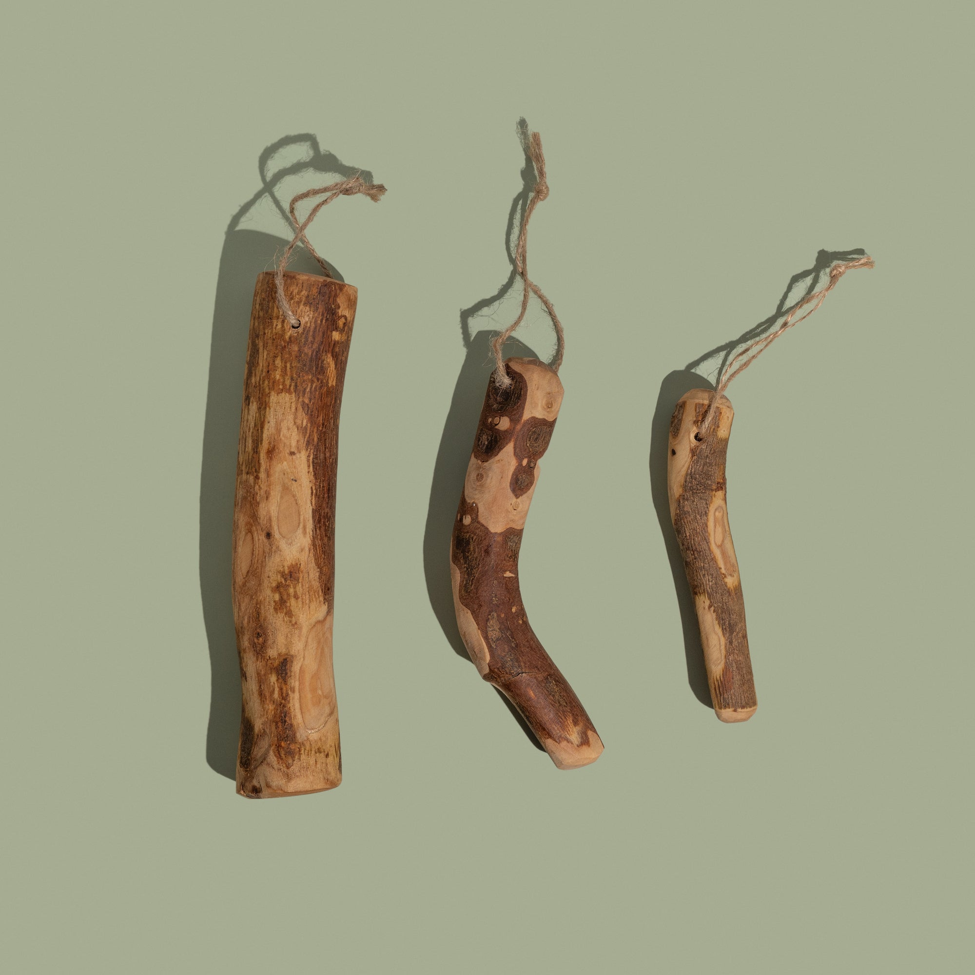 🪵 Olivewood Chew 🐶🦴