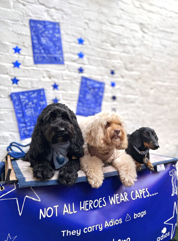 Dogs at the Adios x Battersea launch party
