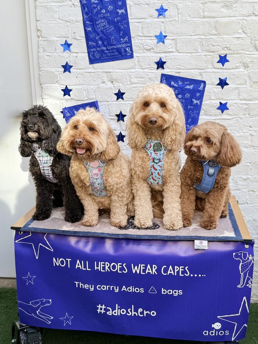 Dogs at the Adios x Battersea launch