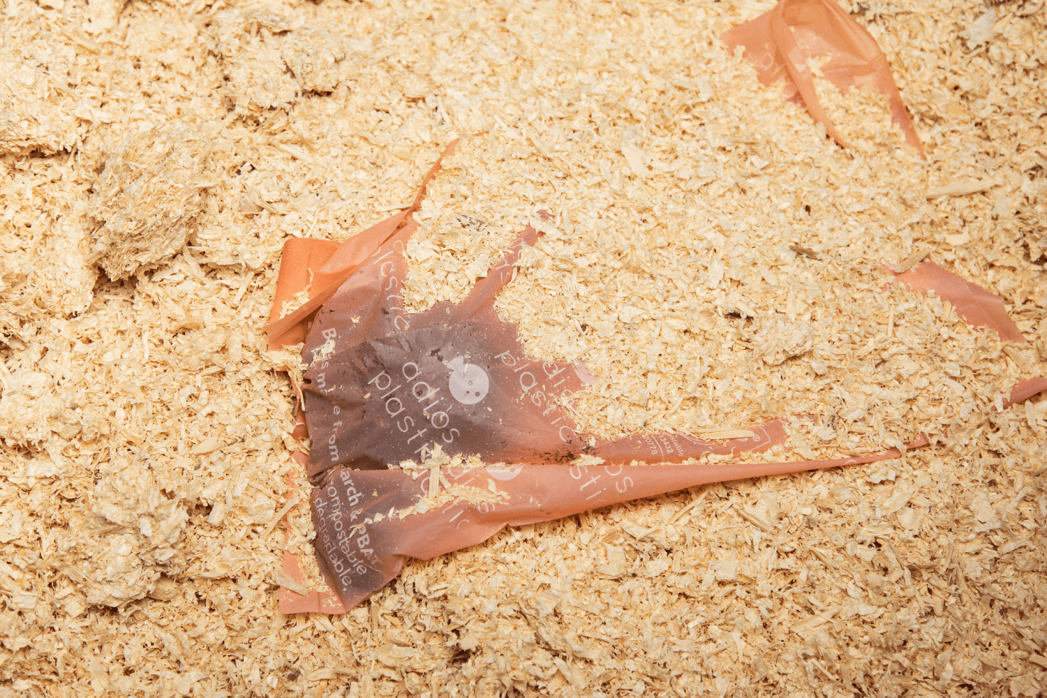 Are Dog Poop Bags Compostable?