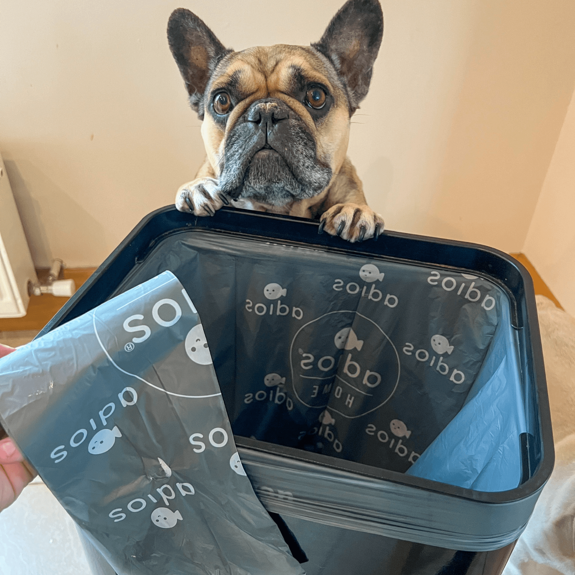 🛍️ Compostable Bin Liners with Handles – 30L - Roll of 20 bags 🌿