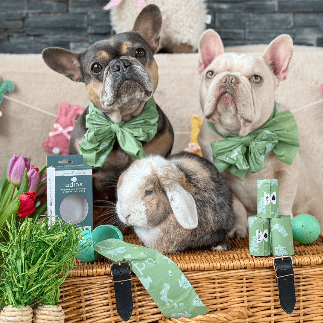 Spring - Compostable Dog Poo Bags 🐇 2026 drop