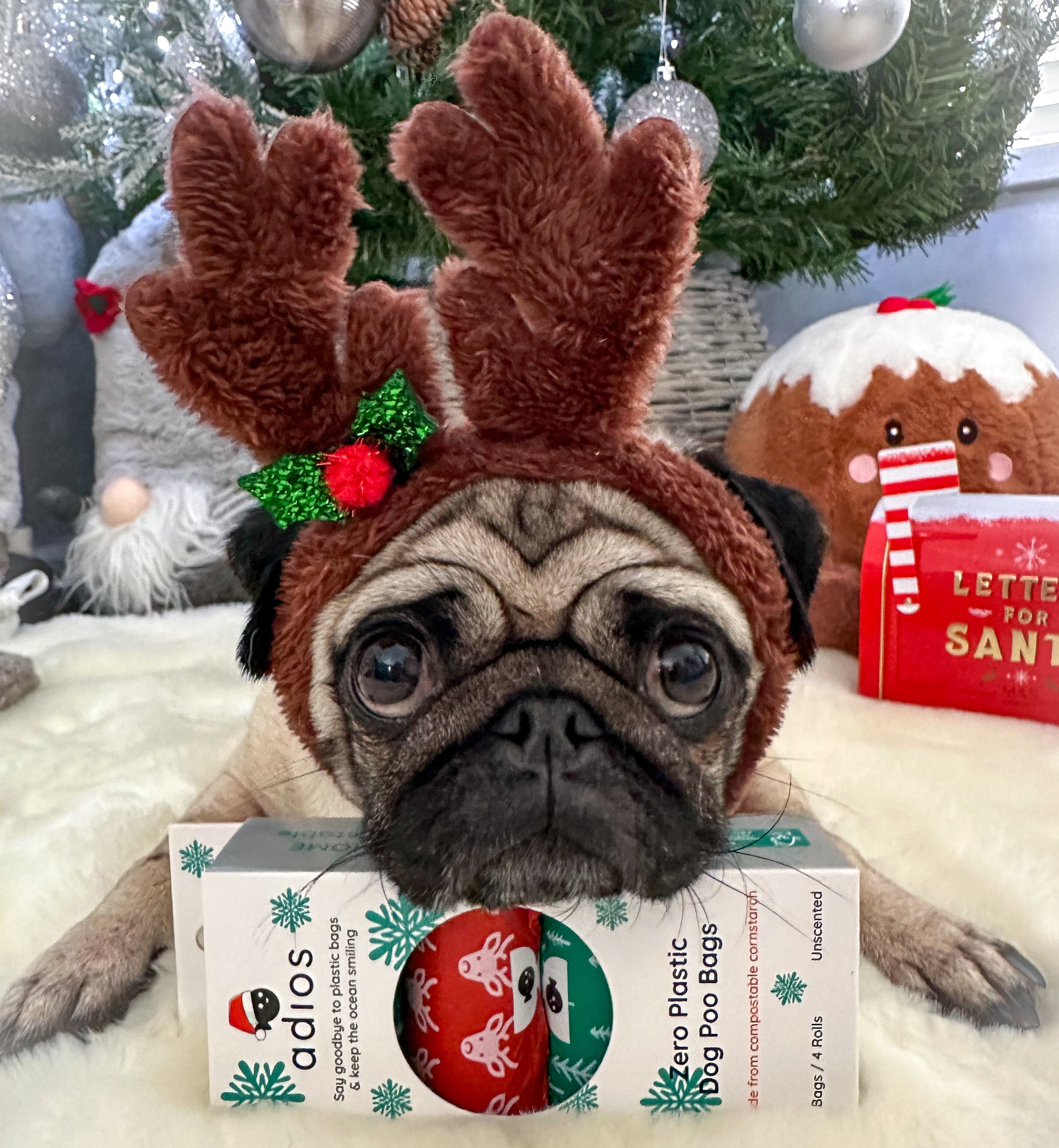 Christmas Compostable Dog Poo Bags