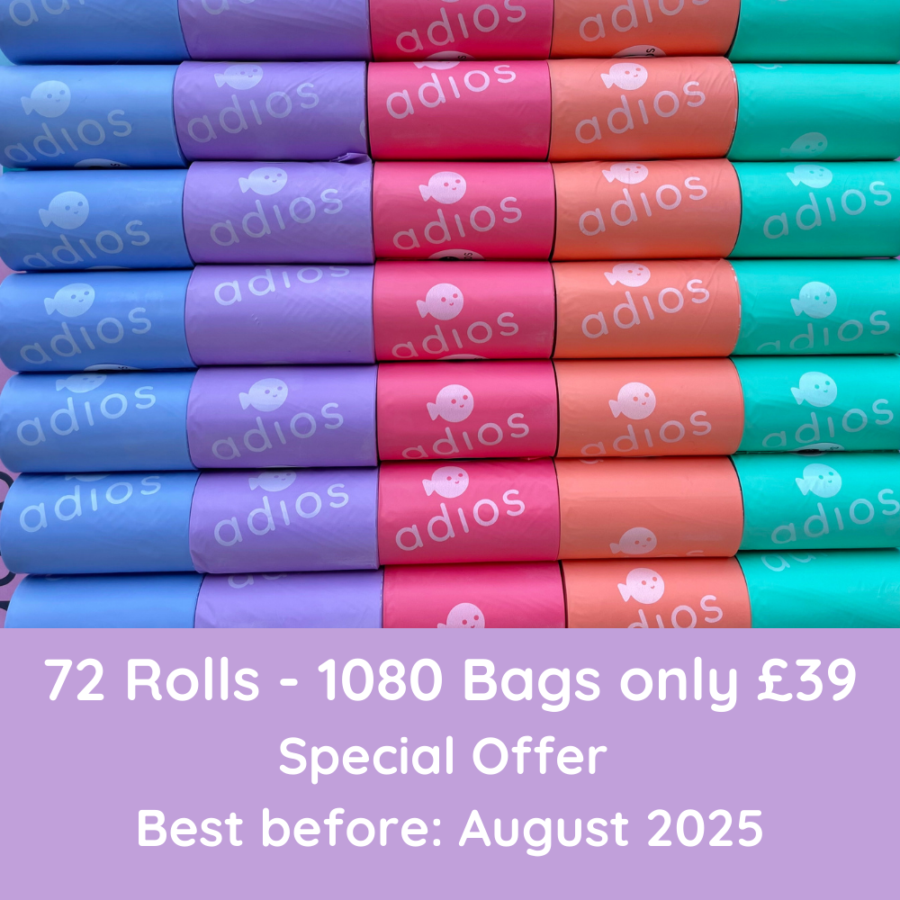 Special offer on Rainbow Rolls - (Best before Aug 2025)