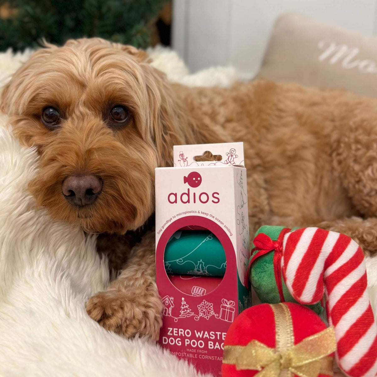 Christmas Compostable Dog Poo Bags