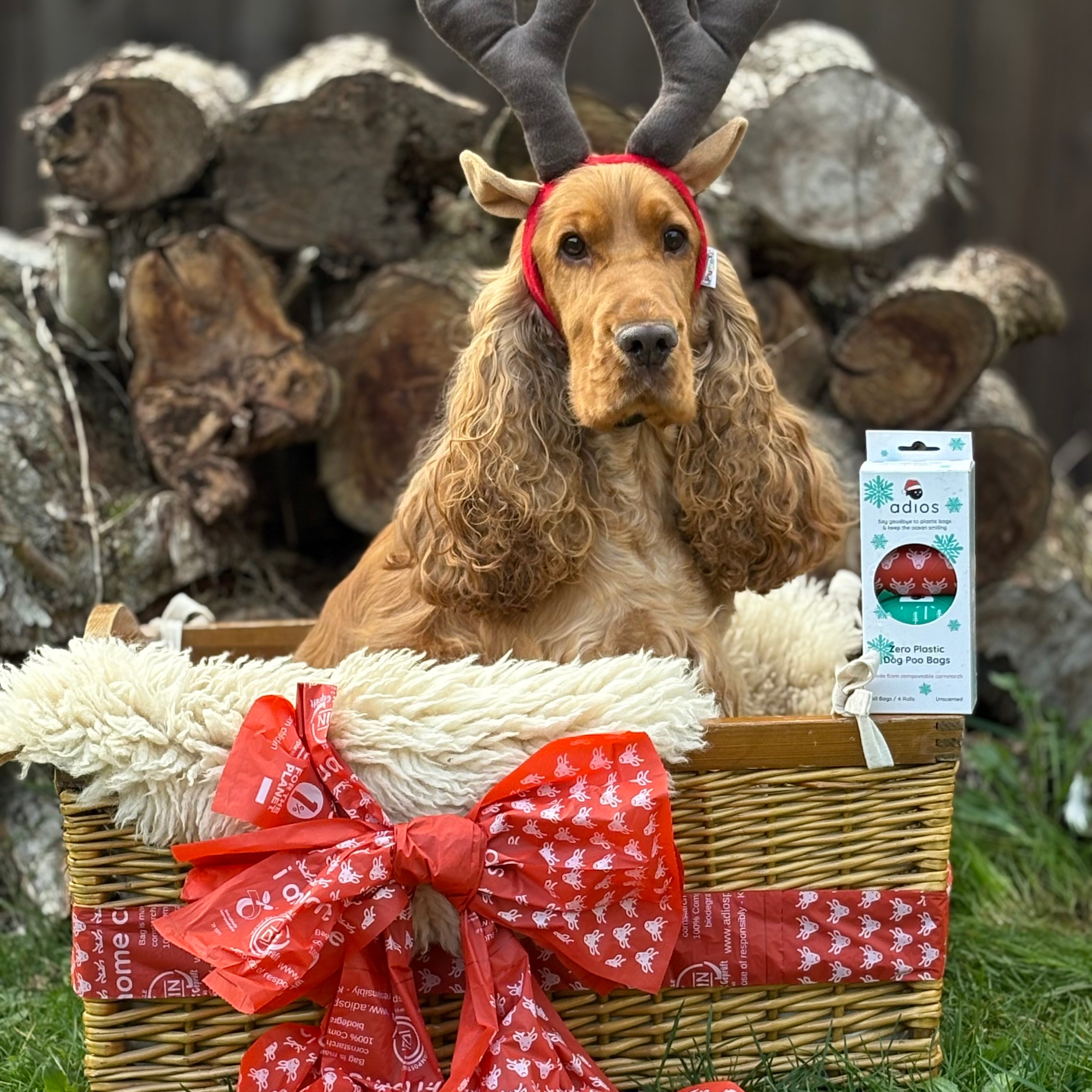 Christmas Compostable Dog Poo Bags