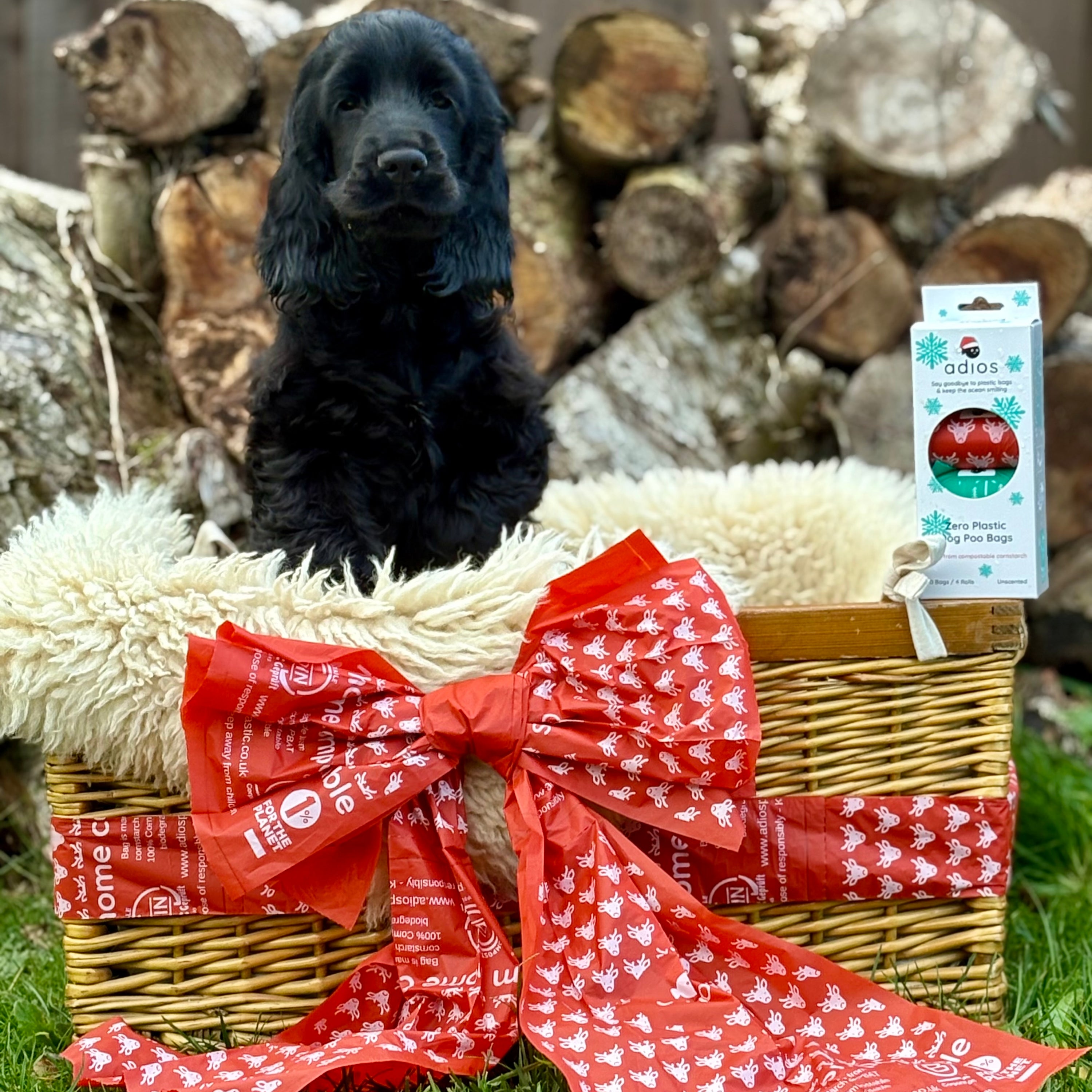 Christmas Compostable Dog Poo Bags