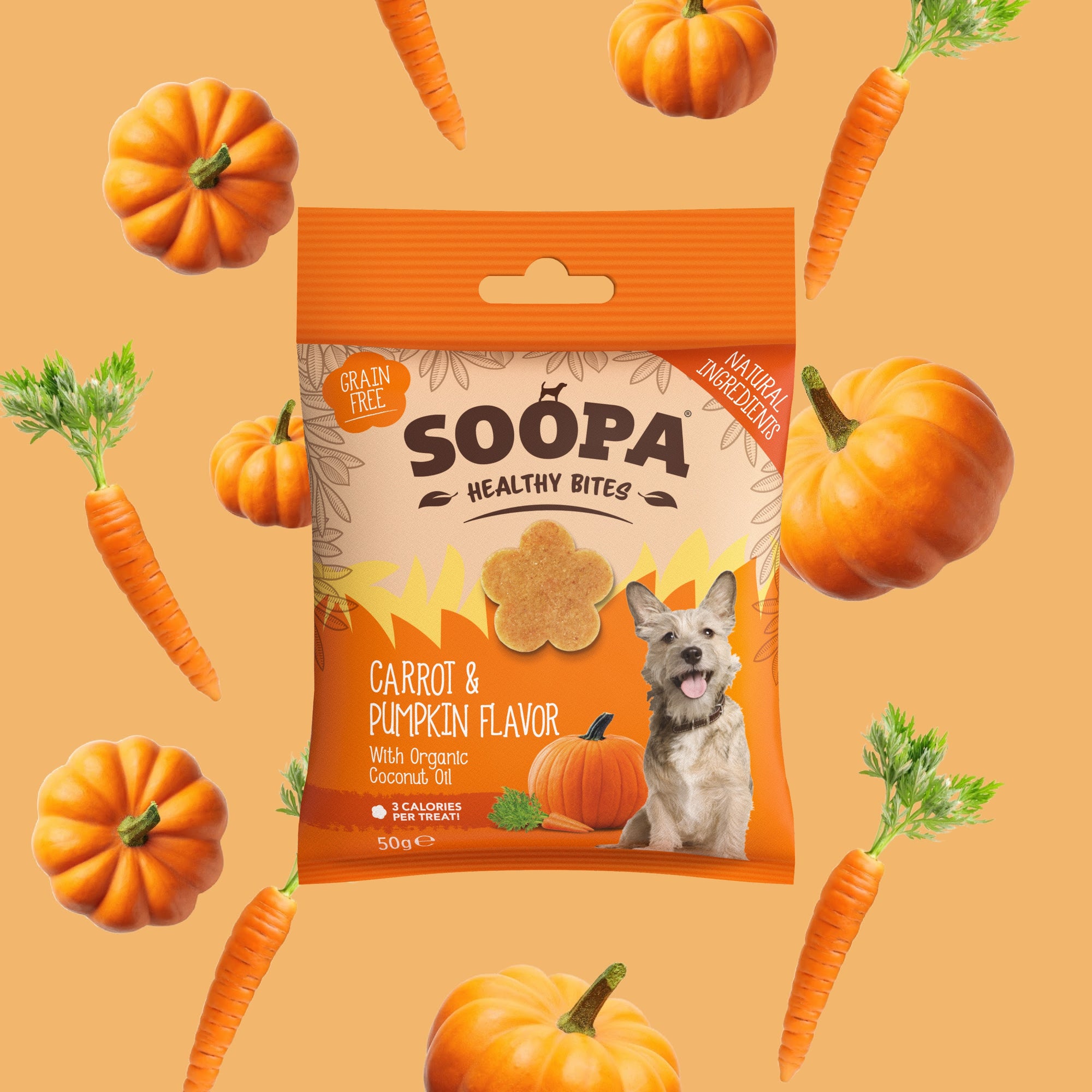Pumpkin Spiced Latte Healthy Bites