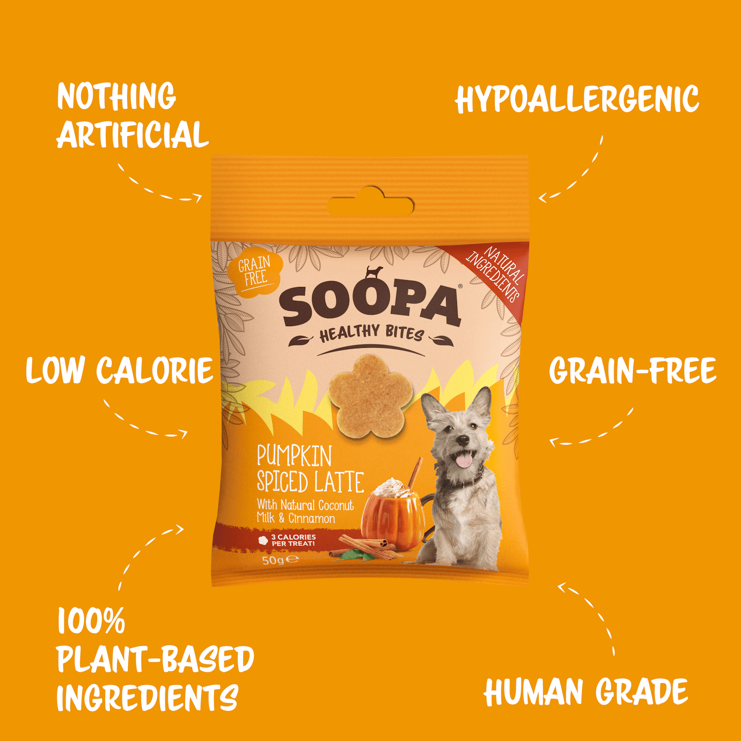 Pumpkin Spiced Latte Healthy Bites