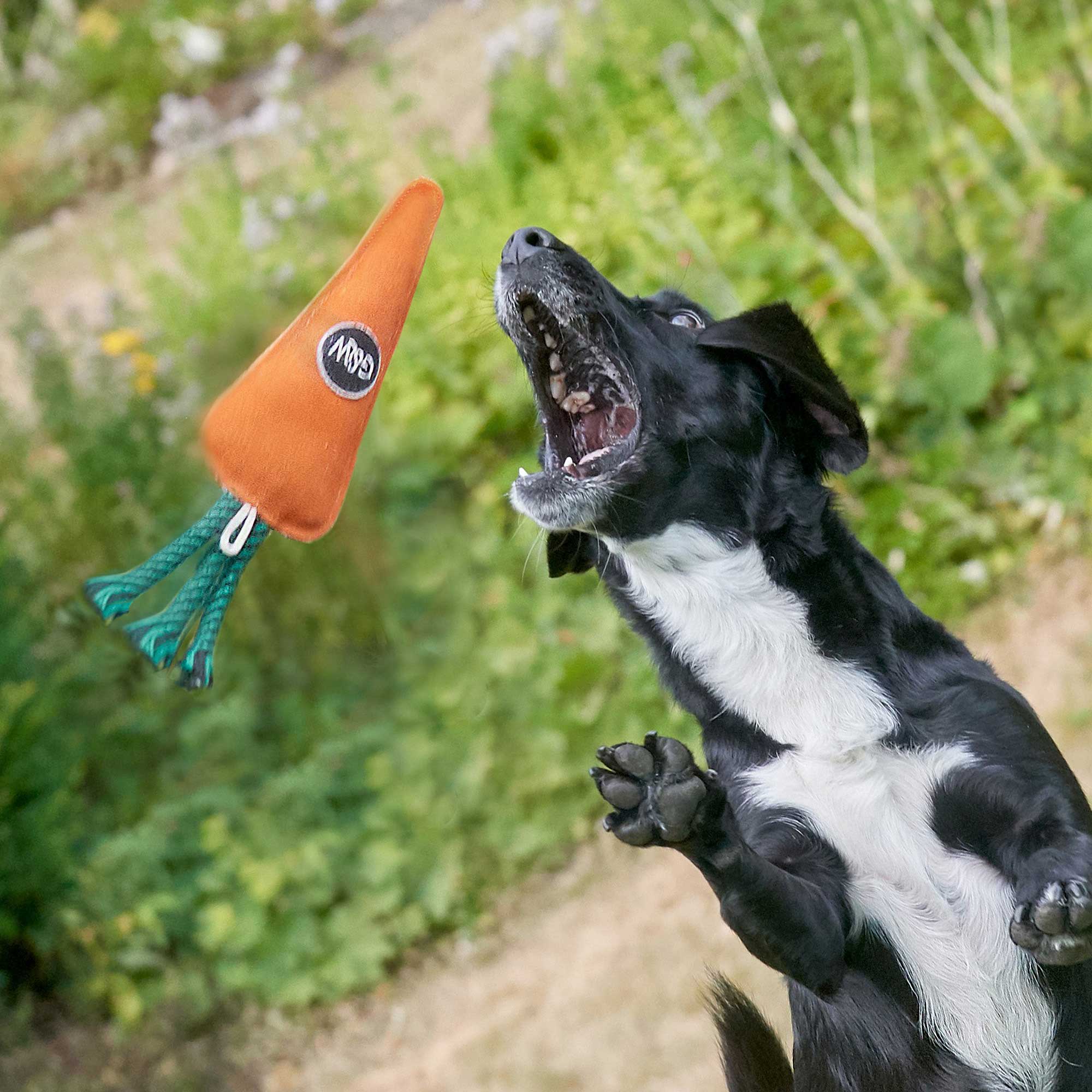 Candice the Carrot, Eco Dog Toy
