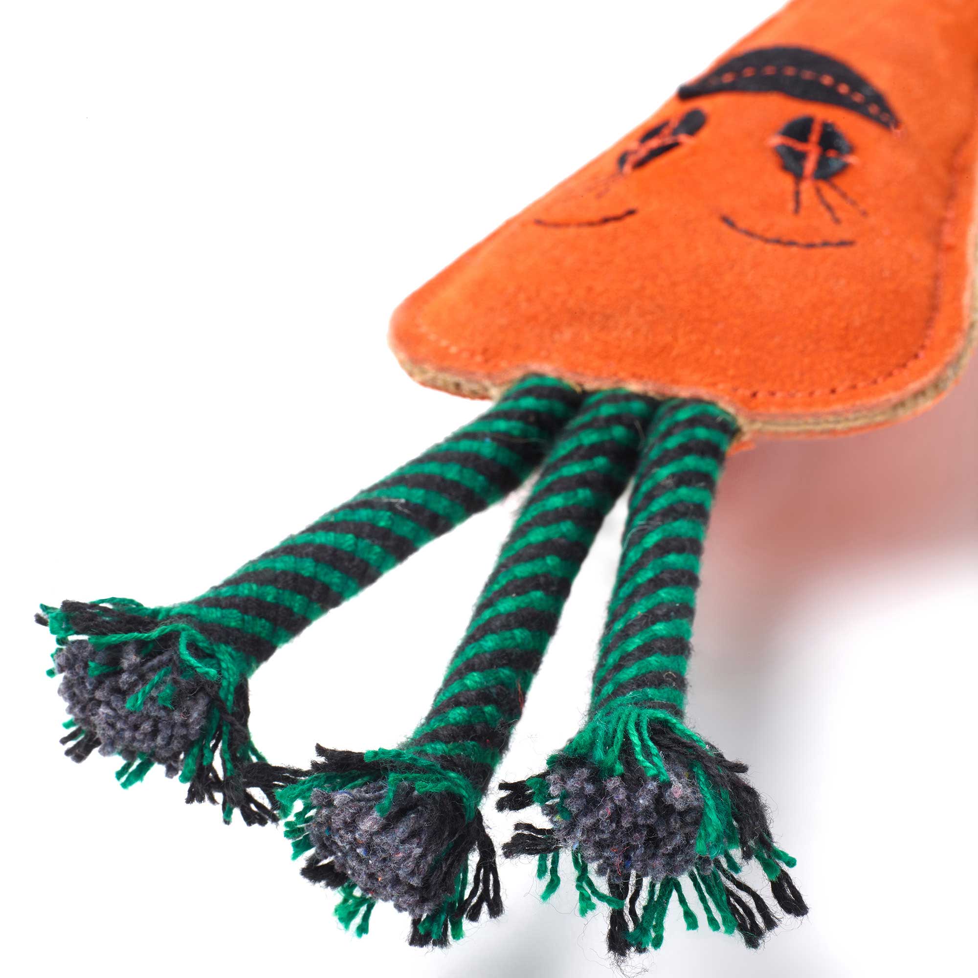 Candice the Carrot, Eco Dog Toy