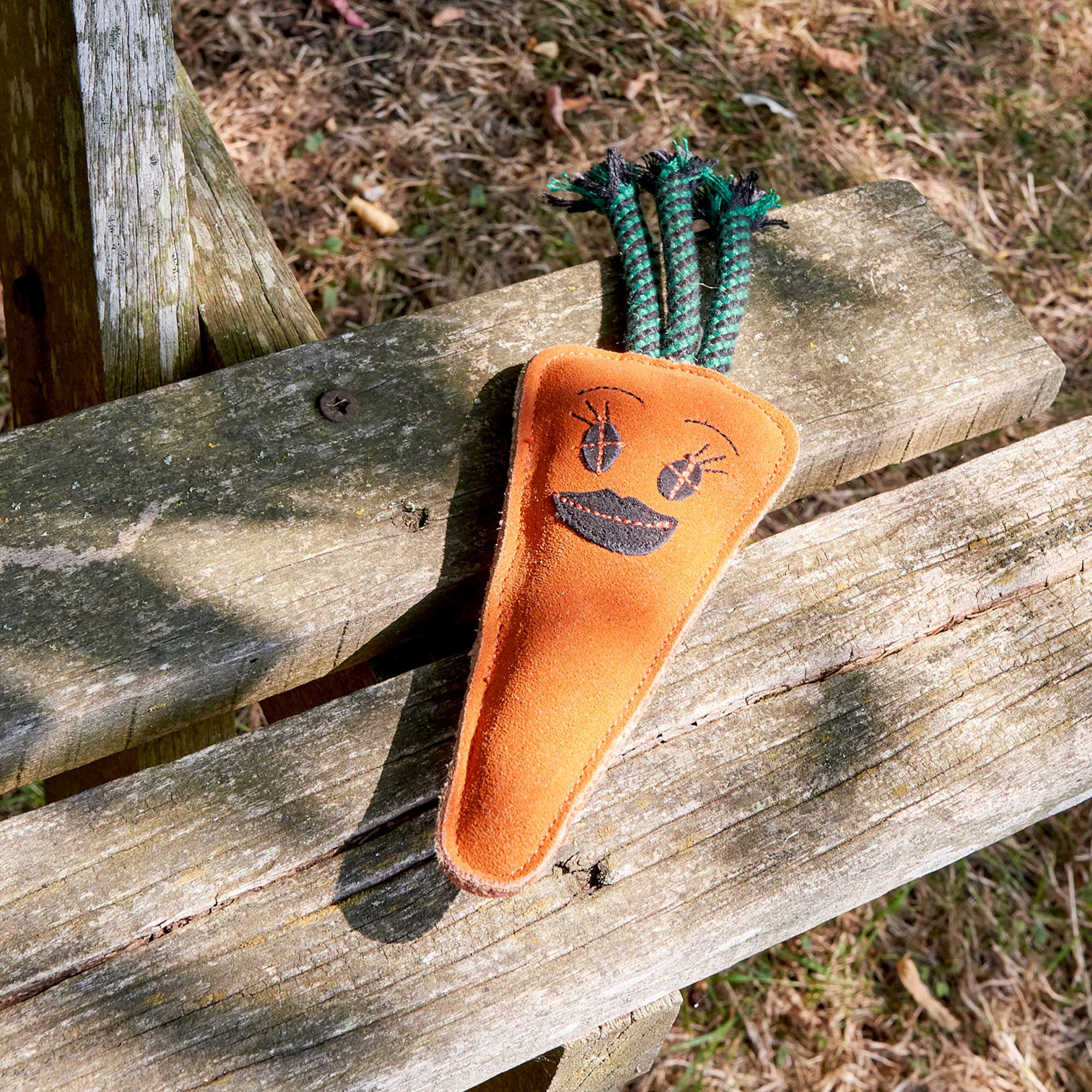 Candice the Carrot, Eco Dog Toy