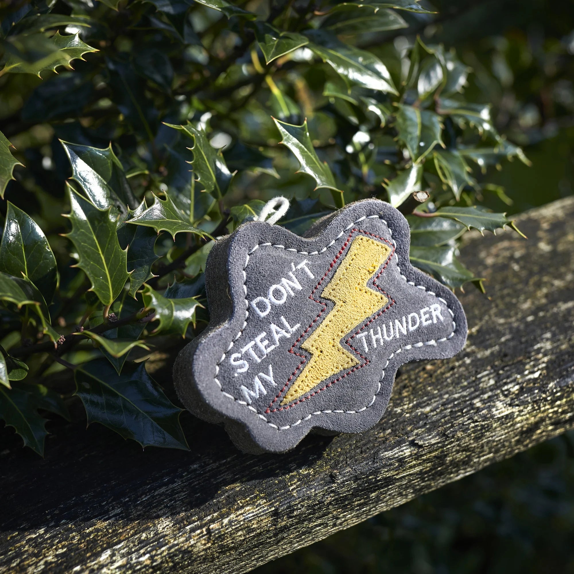 Don't Steal my Thunder, Eco Dog Toy