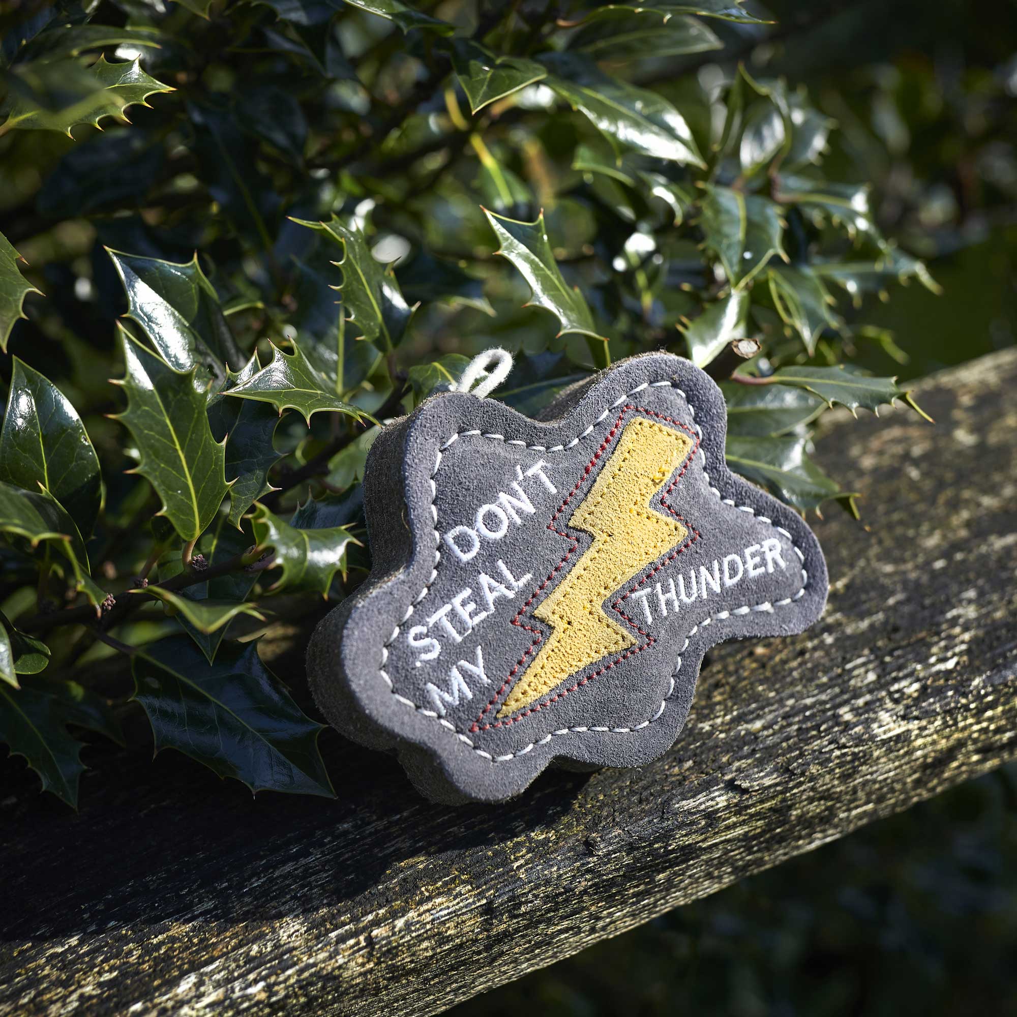 Don't Steal my Thunder, Eco Dog Toy