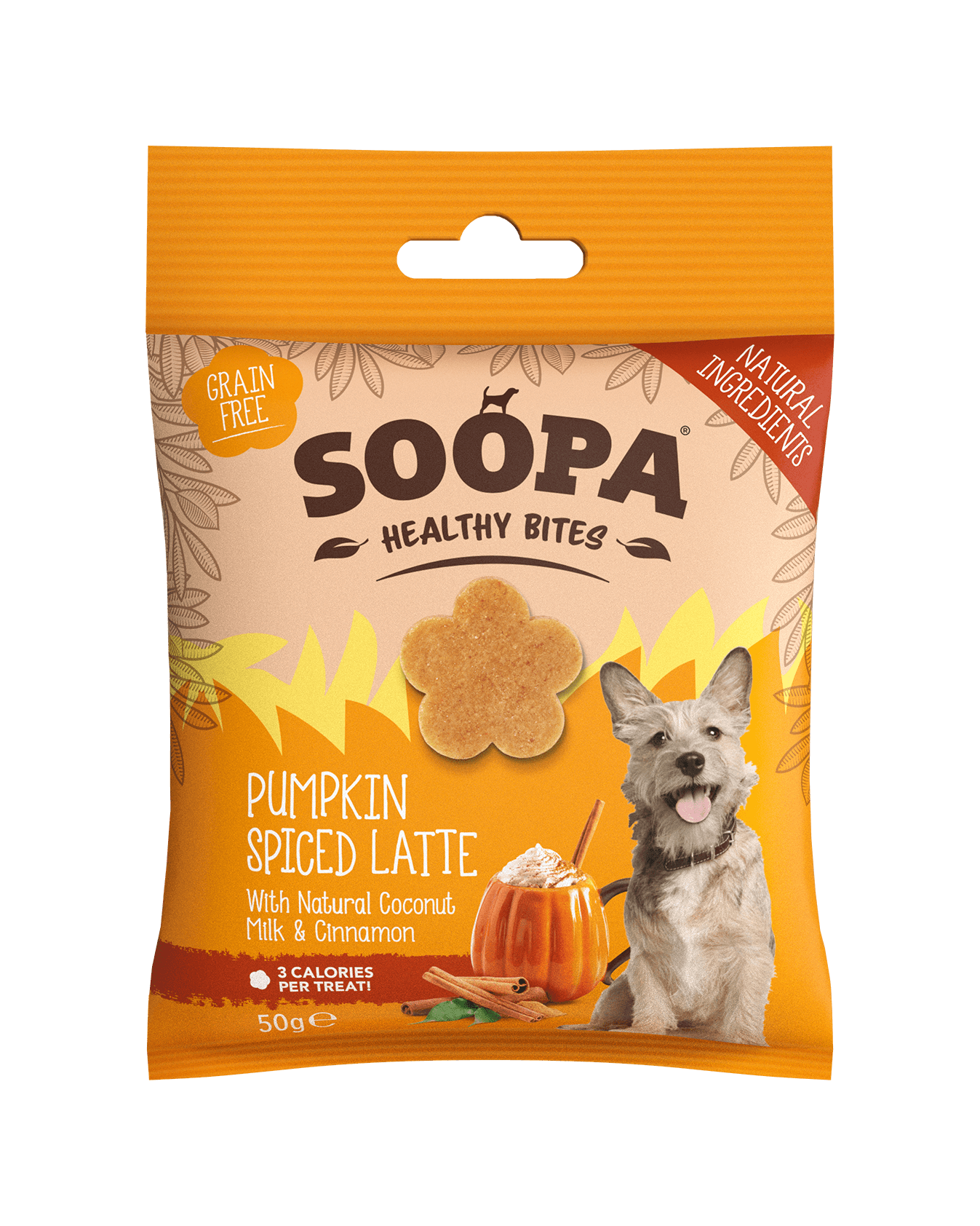 Pumpkin Spiced Latte Healthy Bites