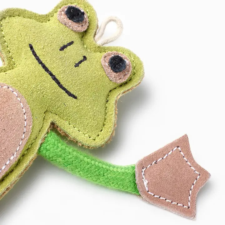 Francois Le Frog, Eco Dog Toy