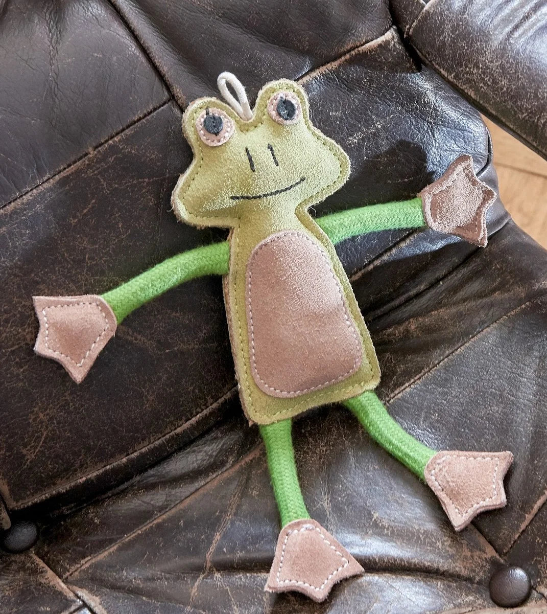 Francois Le Frog, Eco Dog Toy