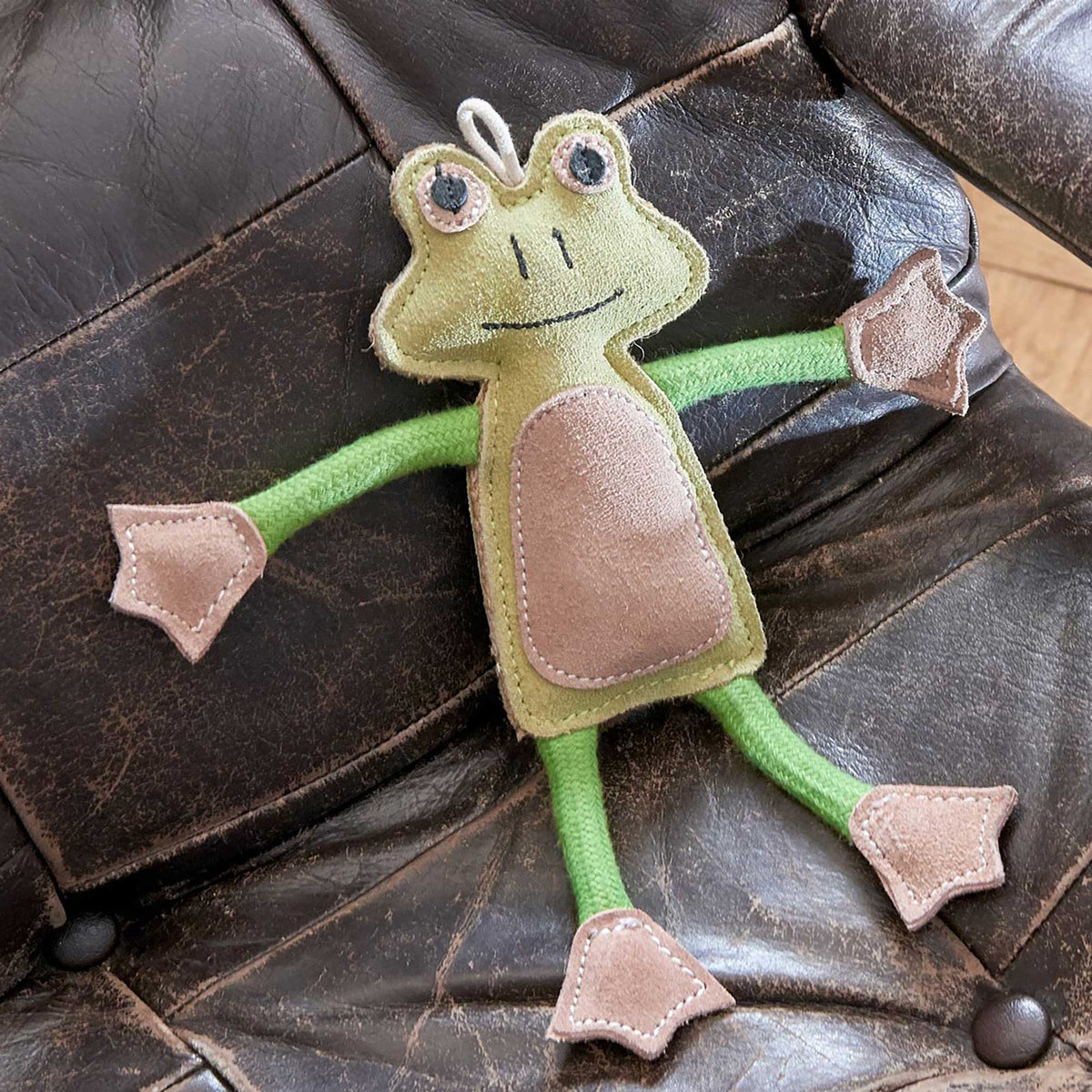 Francois Le Frog, Eco Dog Toy
