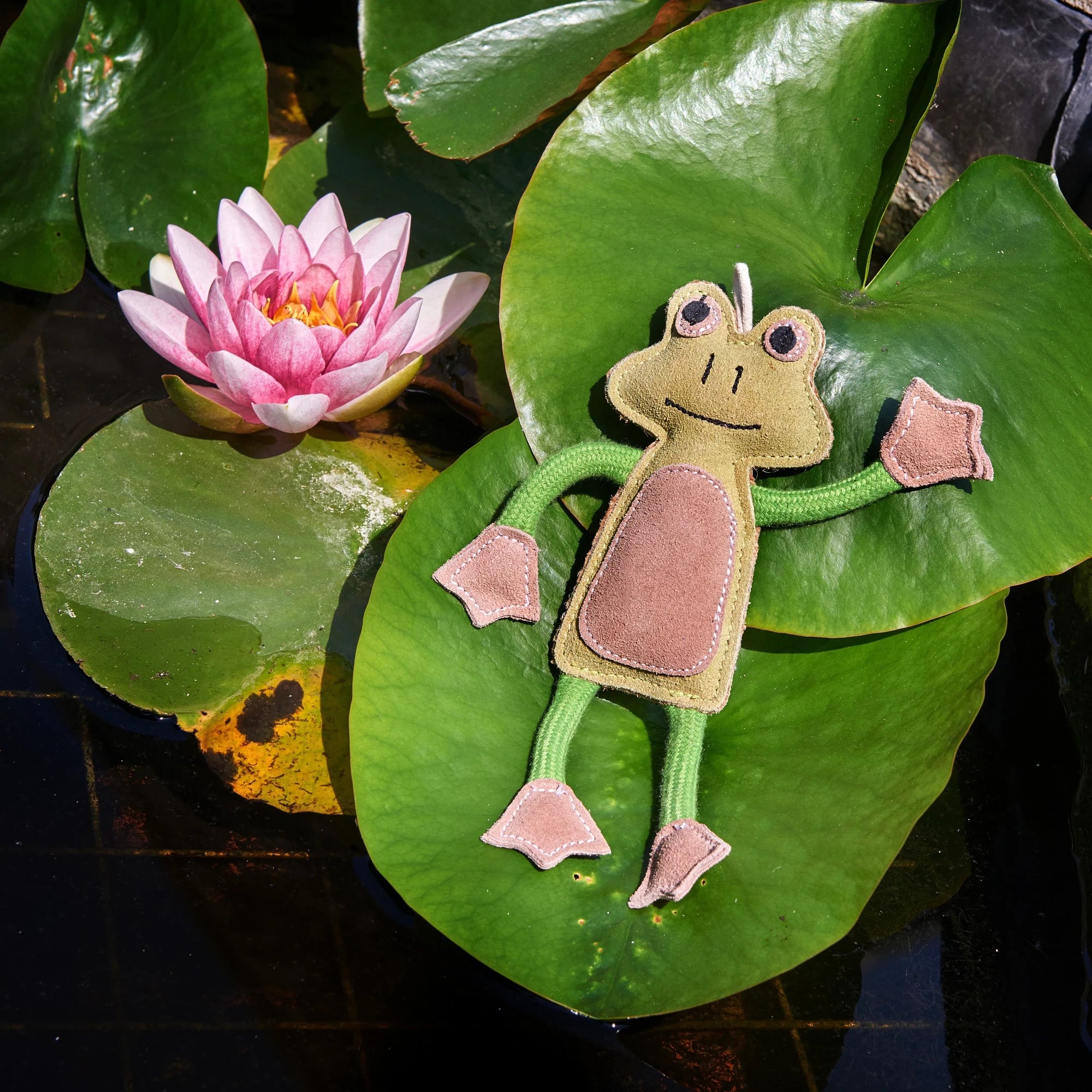 Francois Le Frog, Eco Dog Toy