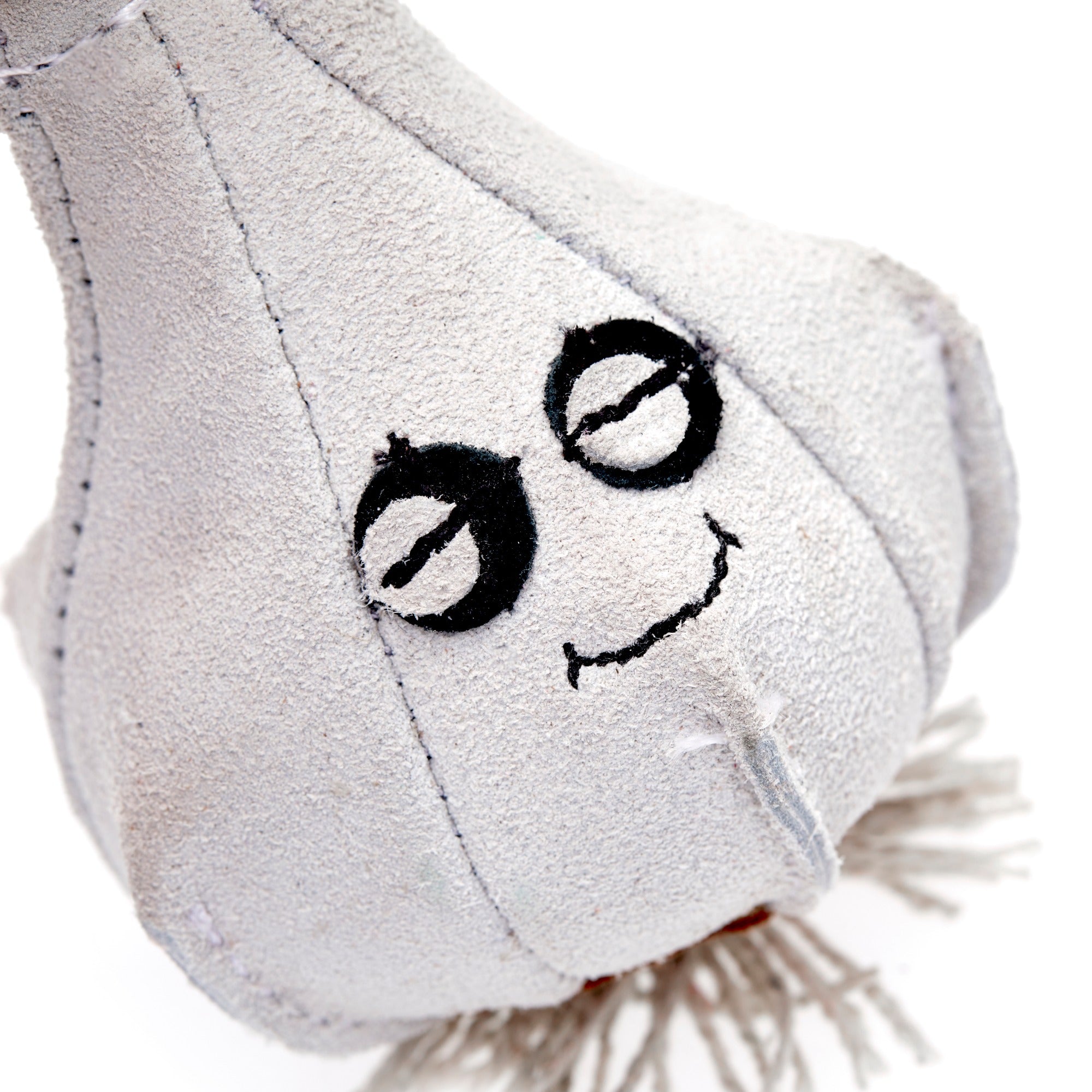 Gary the Garlic, Eco Dog Toy
