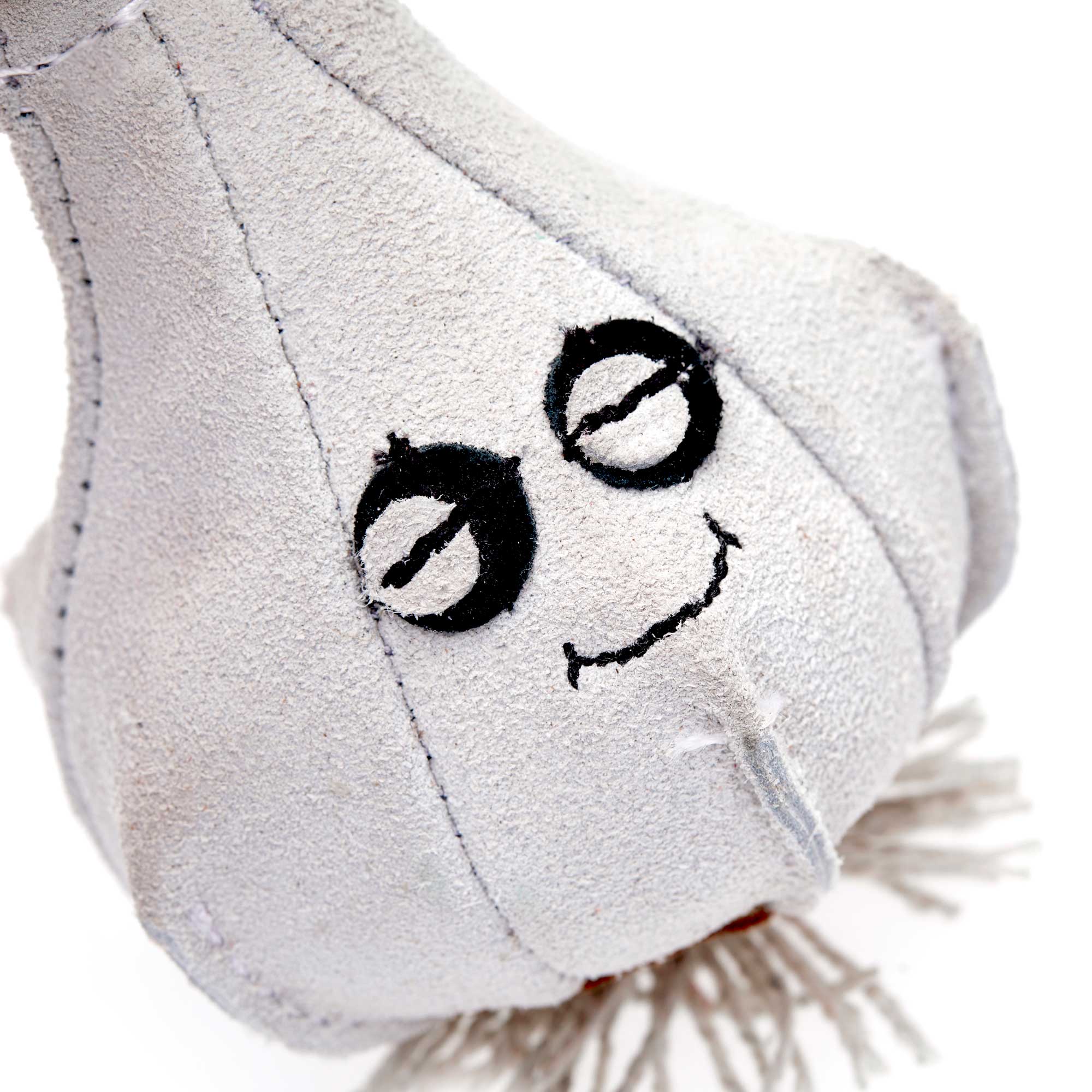 Gary the Garlic, Eco Dog Toy