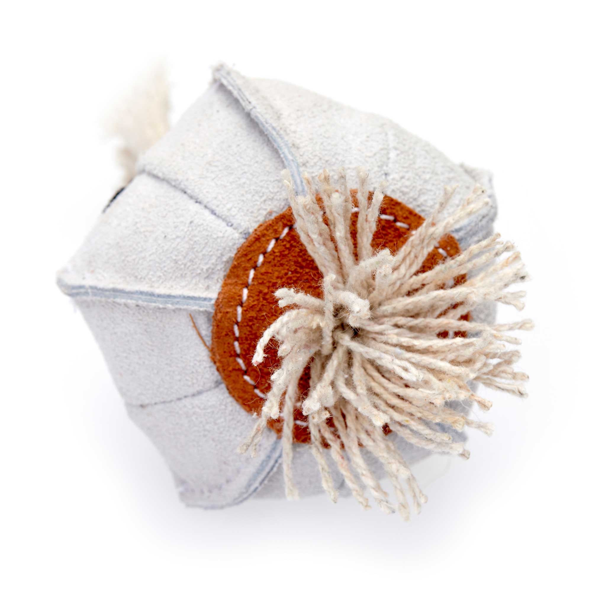 Gary the Garlic, Eco Dog Toy