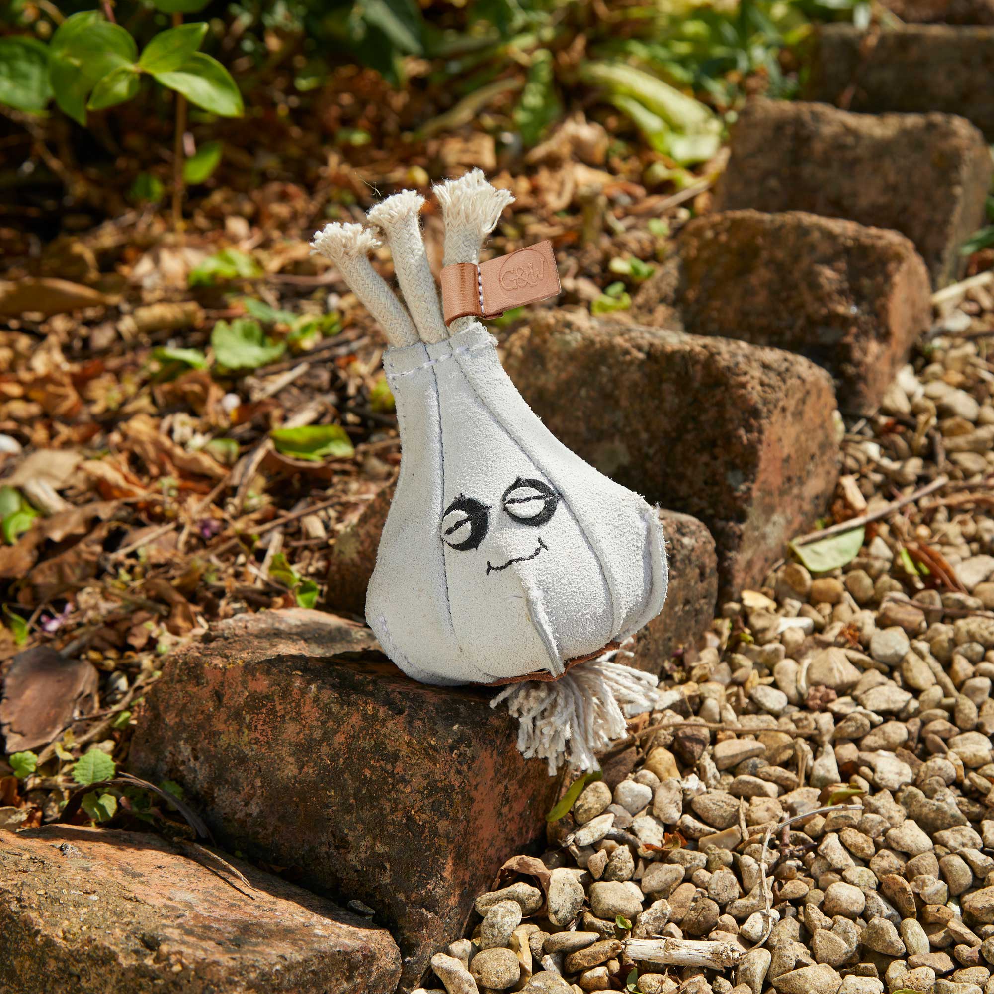 Gary the Garlic, Eco Dog Toy