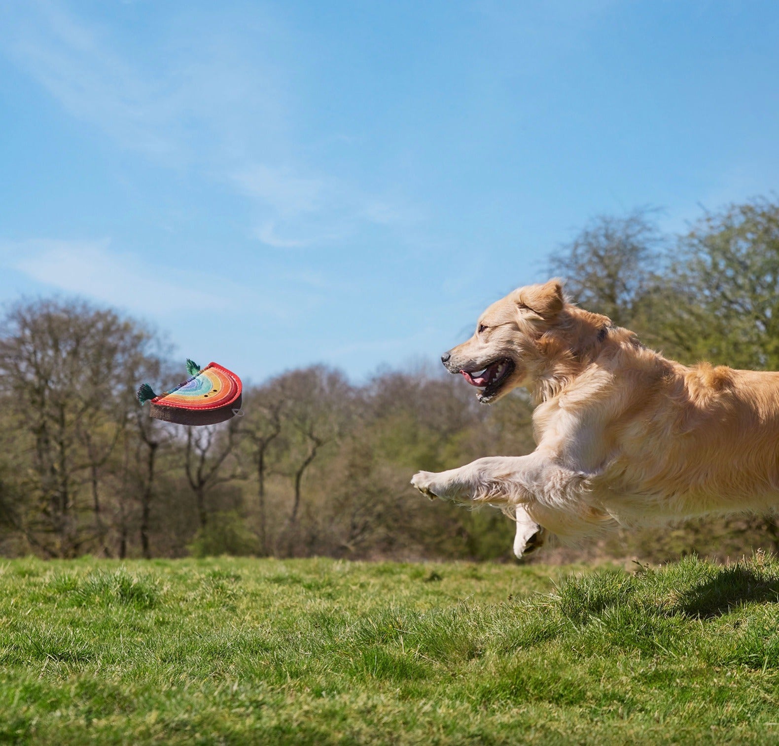 Rainbow Warrior, Eco Dog Toy
