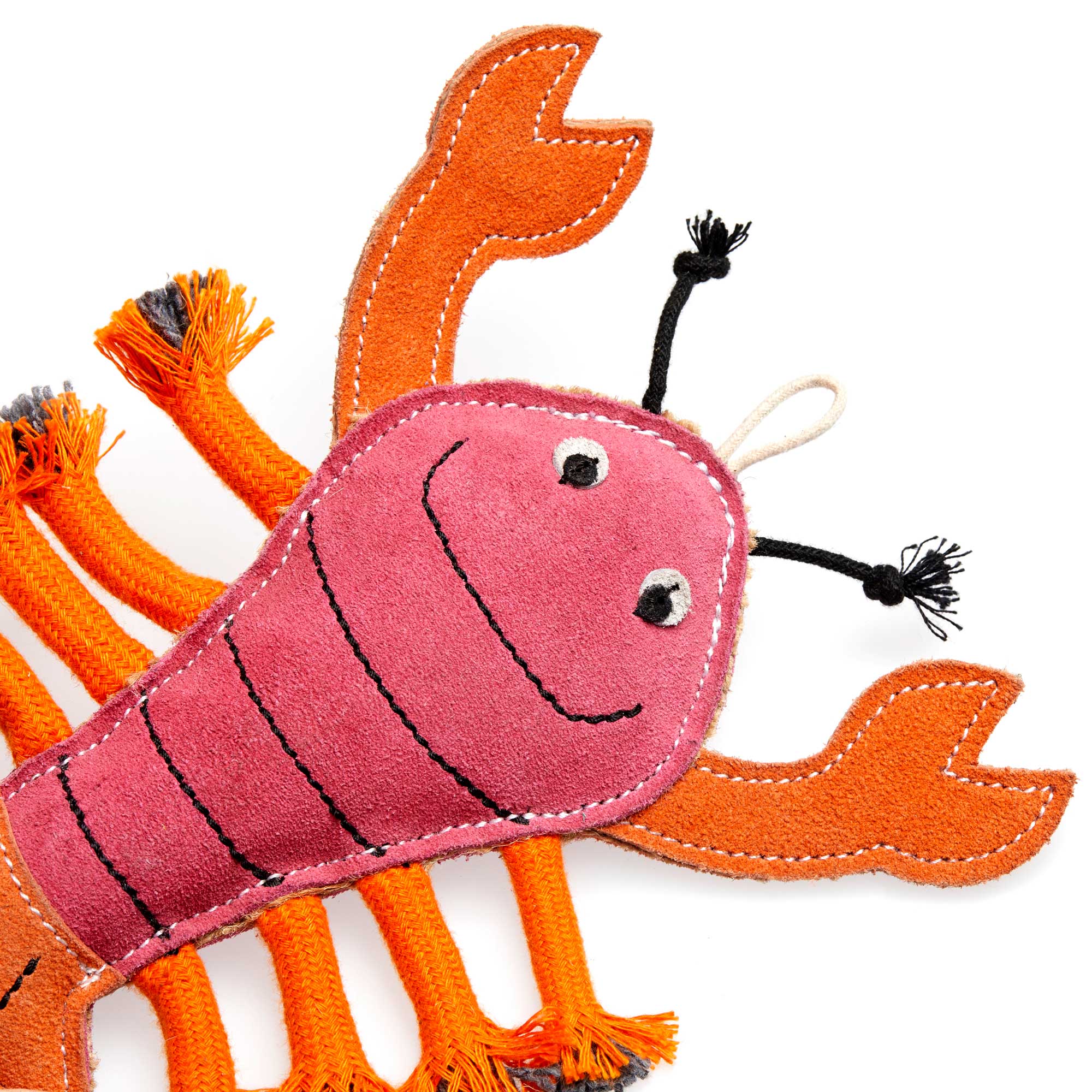Larry the Lobster, Eco Dog Toy