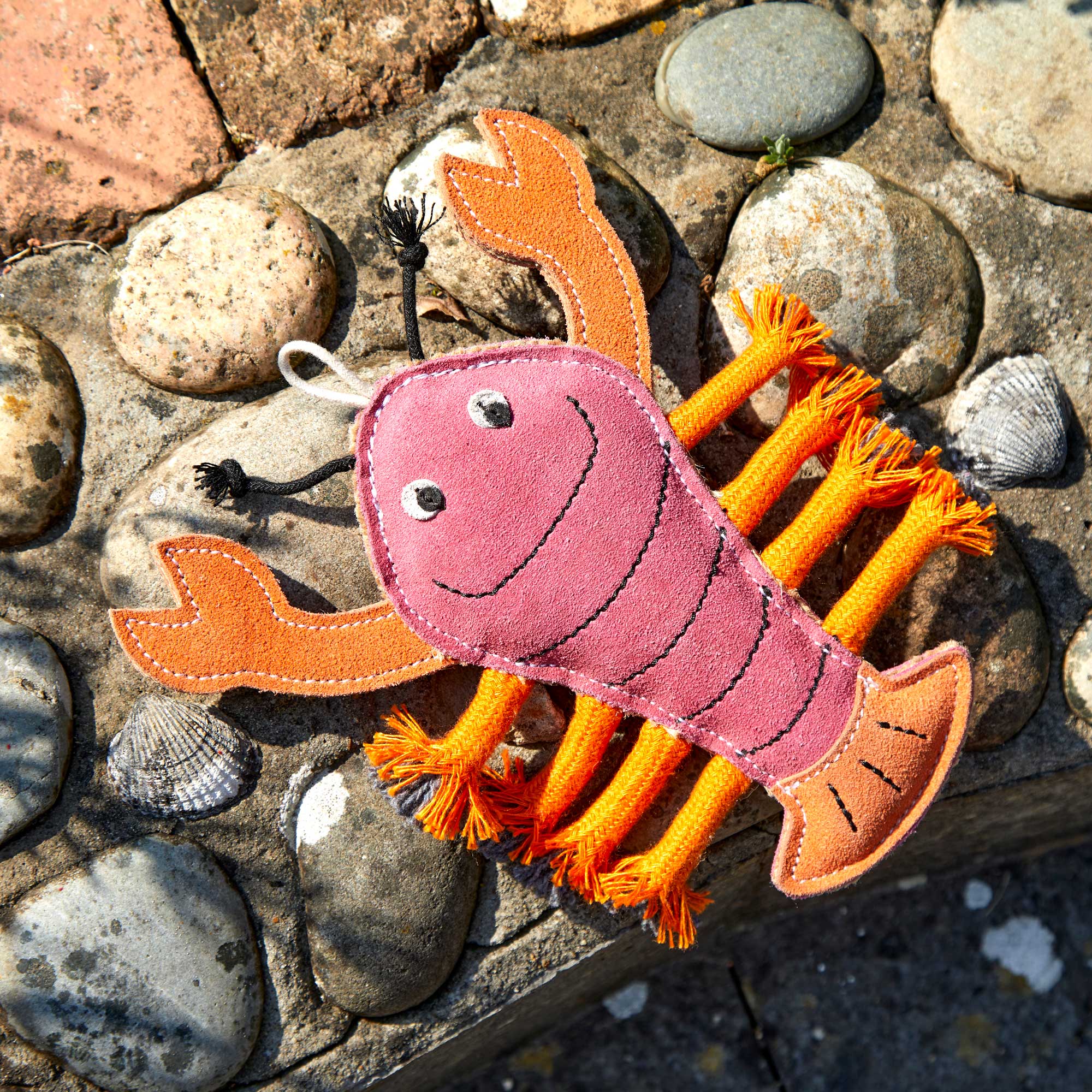 Larry the Lobster, Eco Dog Toy