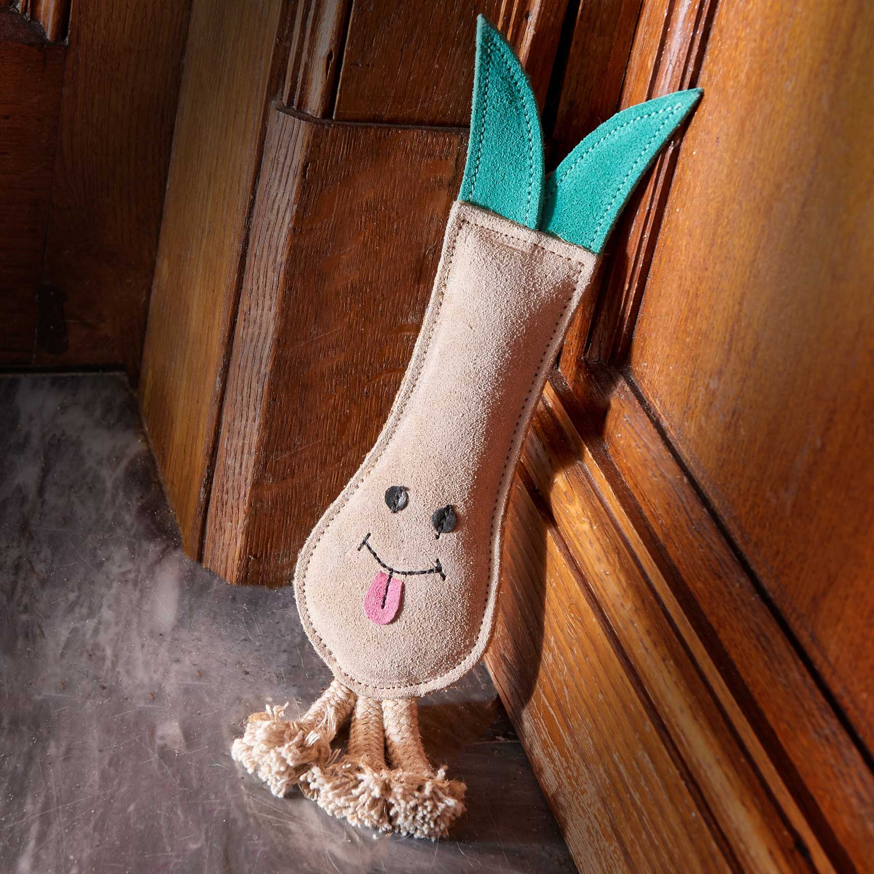 Lenny the Leek, Eco Dog Toy