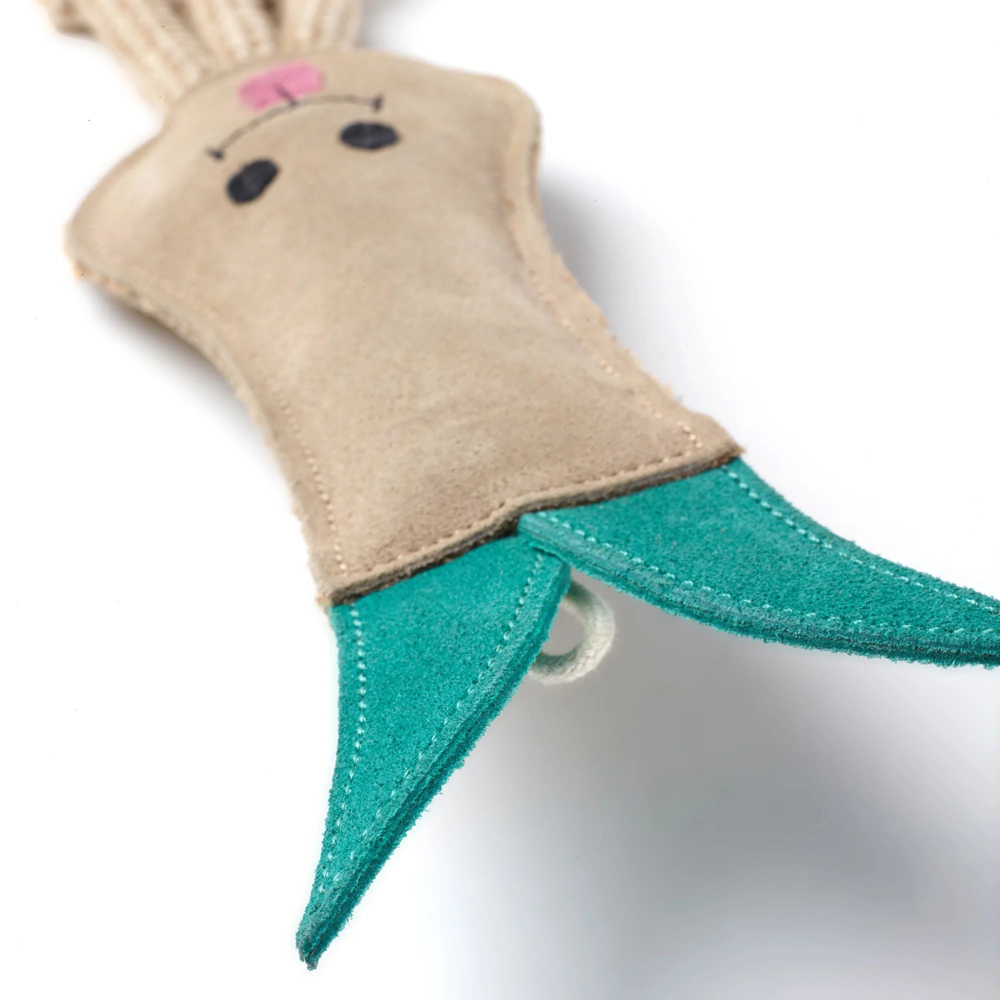 Lenny the Leek, Eco Dog Toy