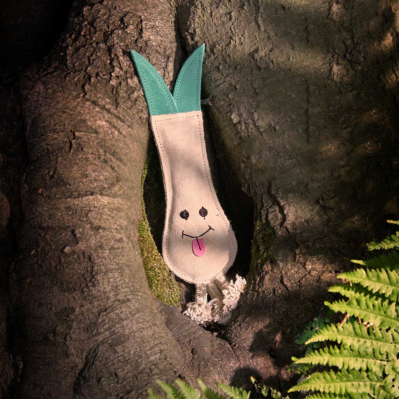Lenny the Leek, Eco Dog Toy