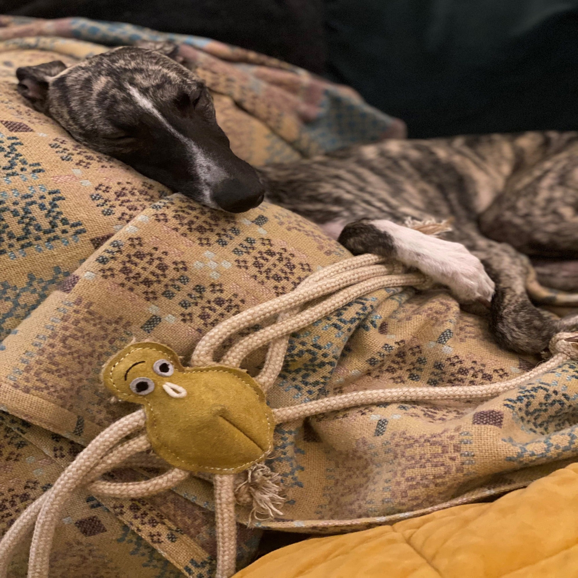 Lily Longlegs, Eco Dog Toy