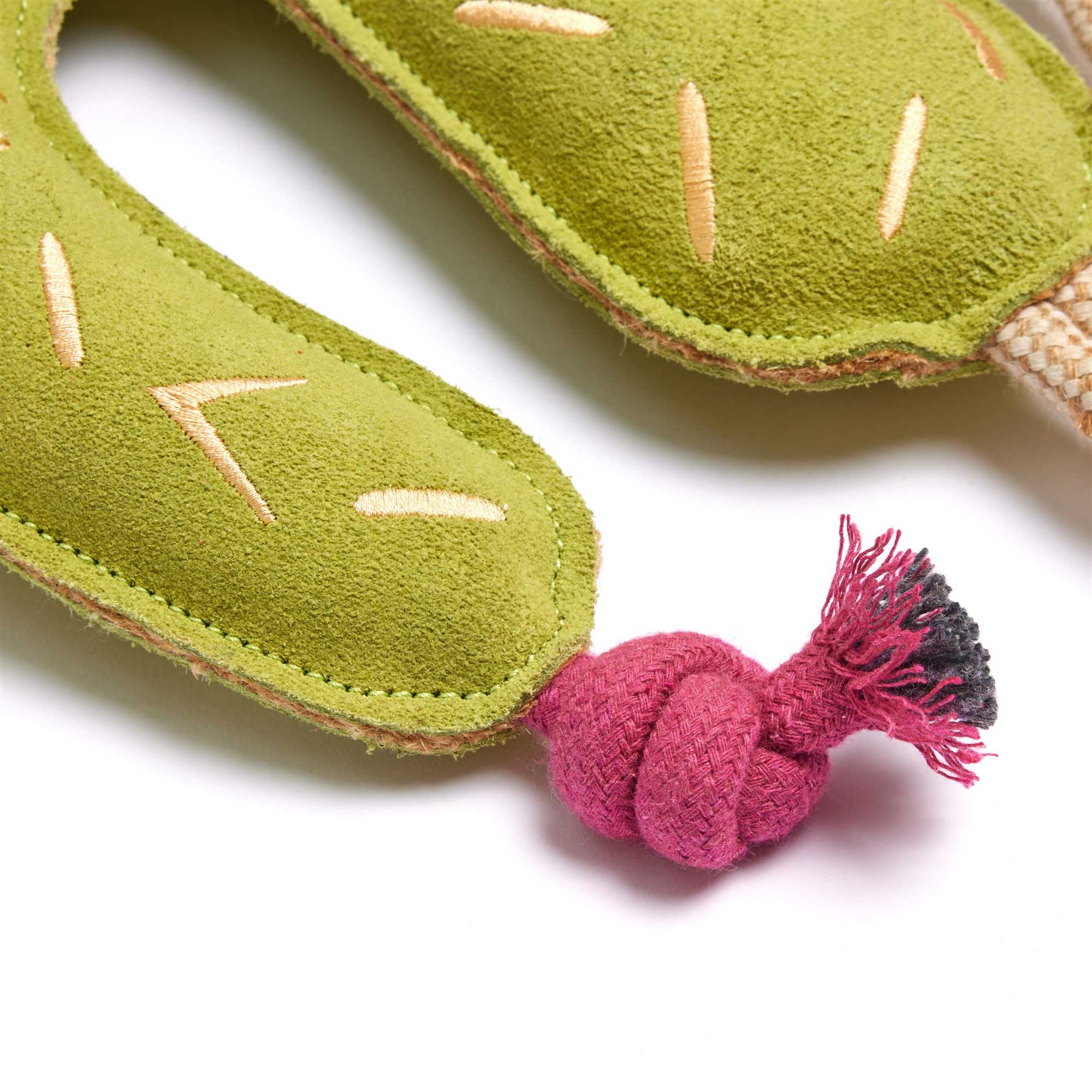 Carmen the Cactus, Eco Dog Toy
