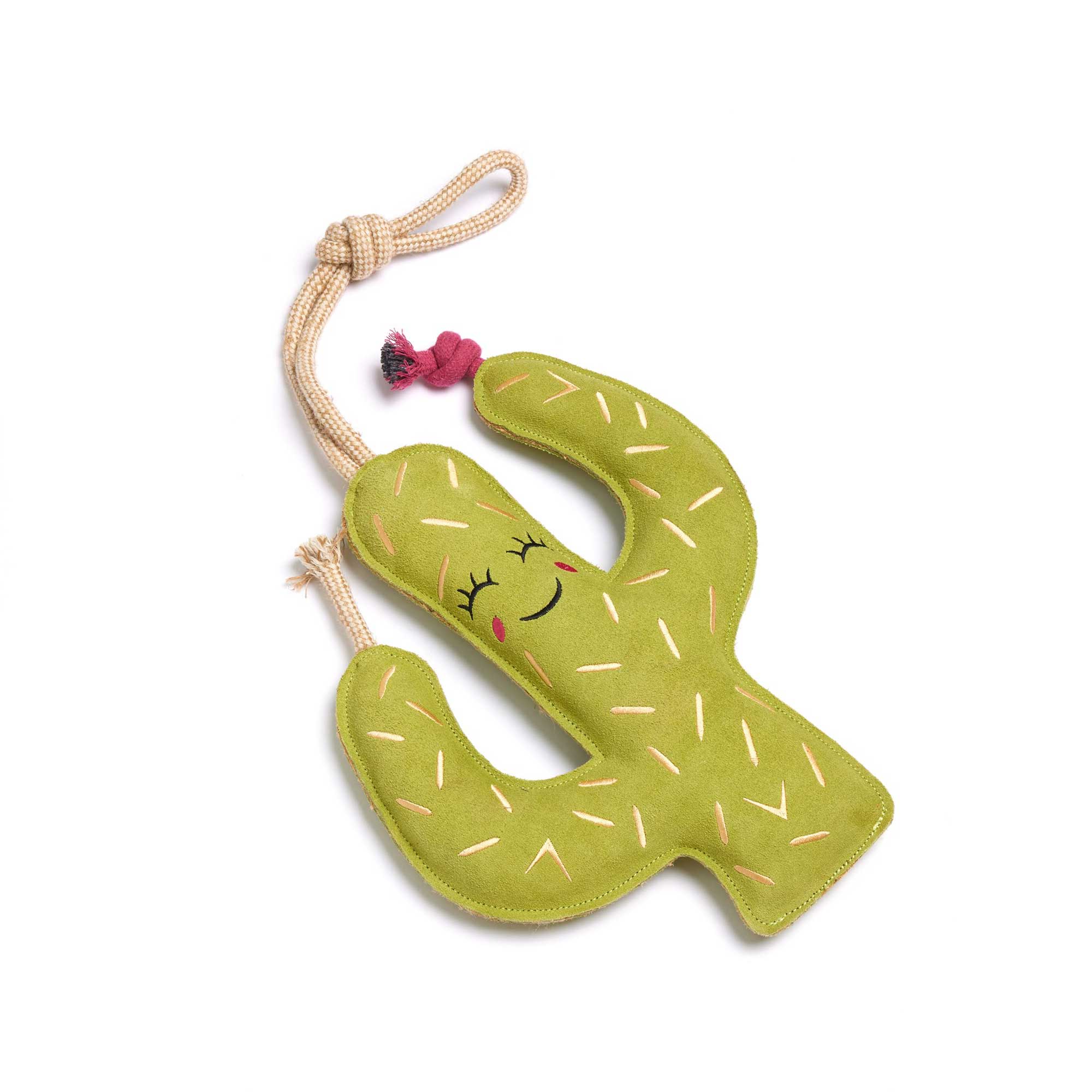 Carmen the Cactus, Eco Dog Toy
