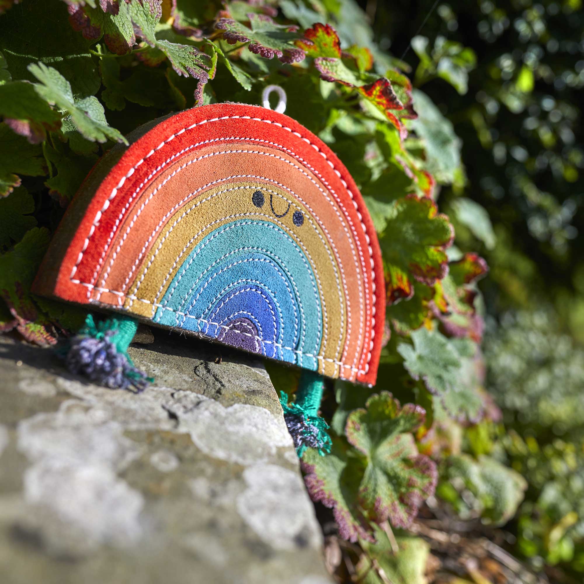 Rainbow Warrior, Eco Dog Toy
