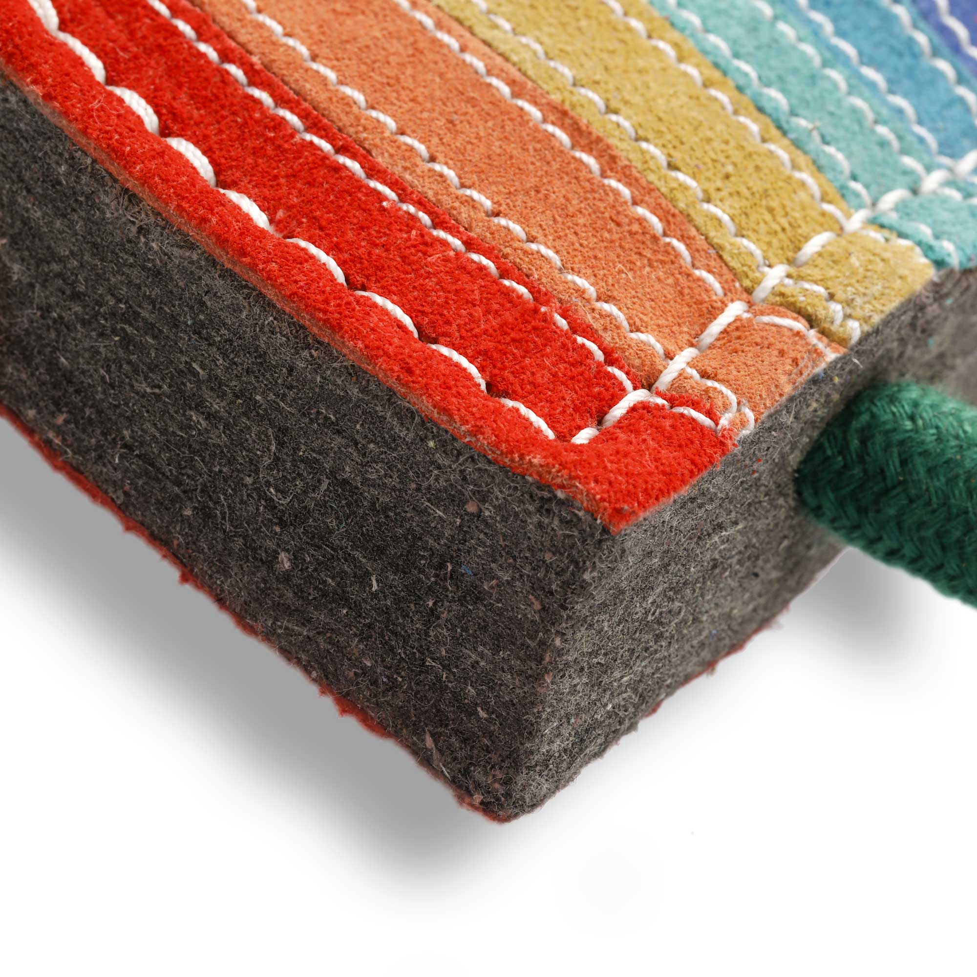 Rainbow Warrior, Eco Dog Toy