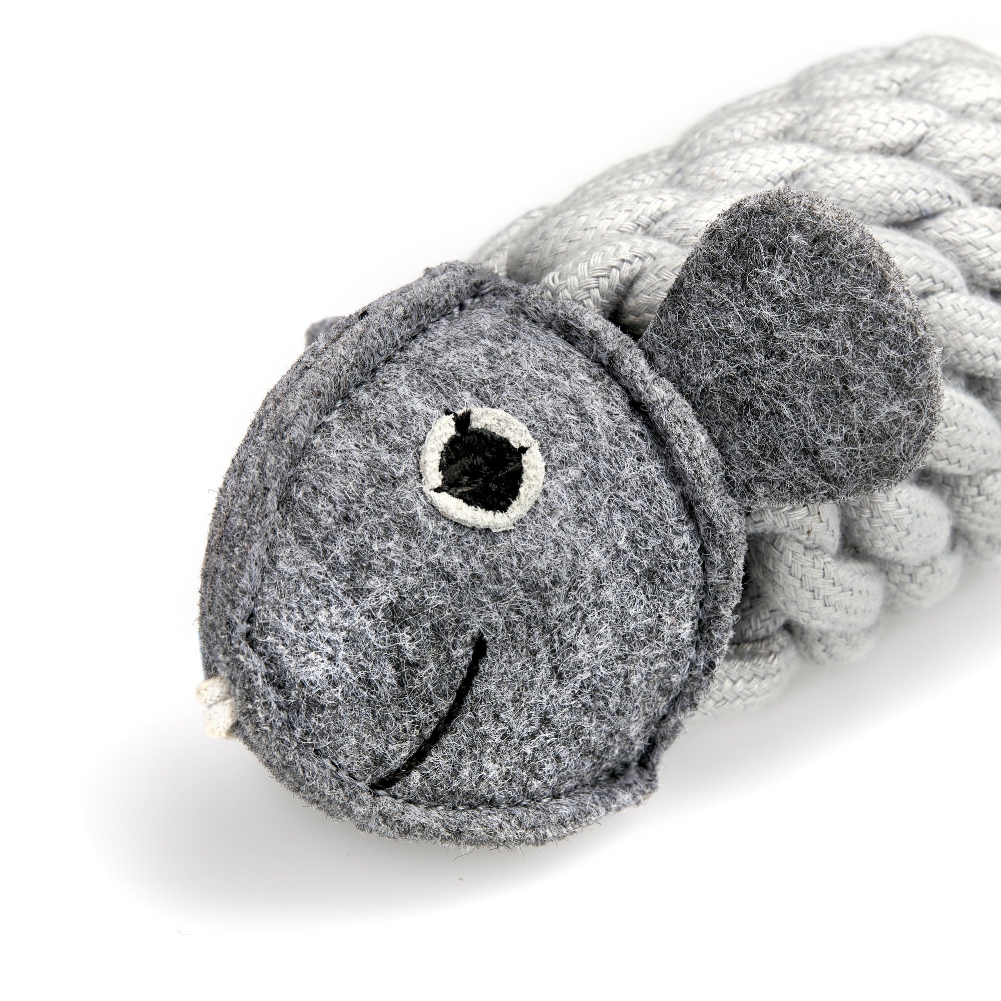 Roger the Ropefish, Eco Dog Toy