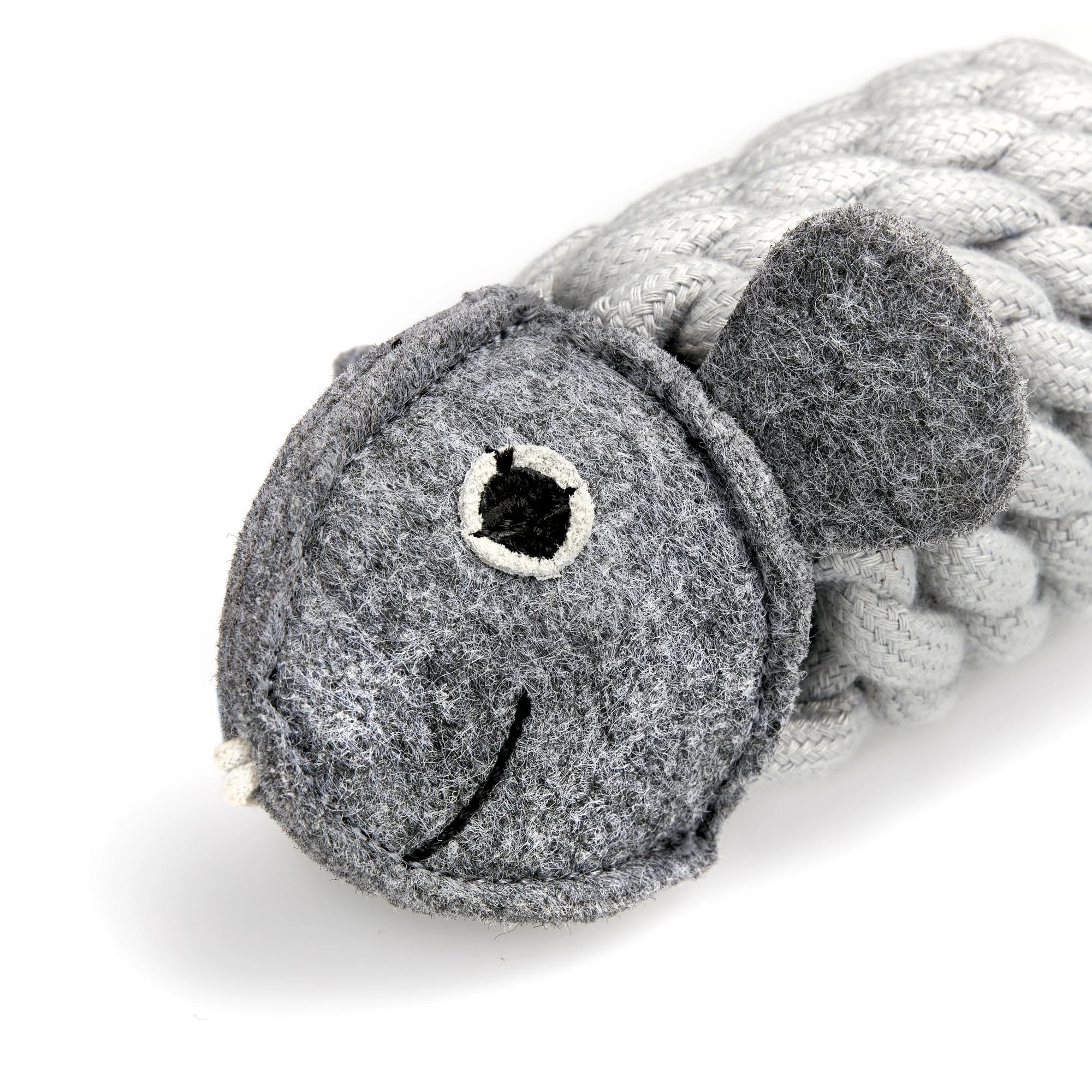 Roger the Ropefish, Eco Dog toy