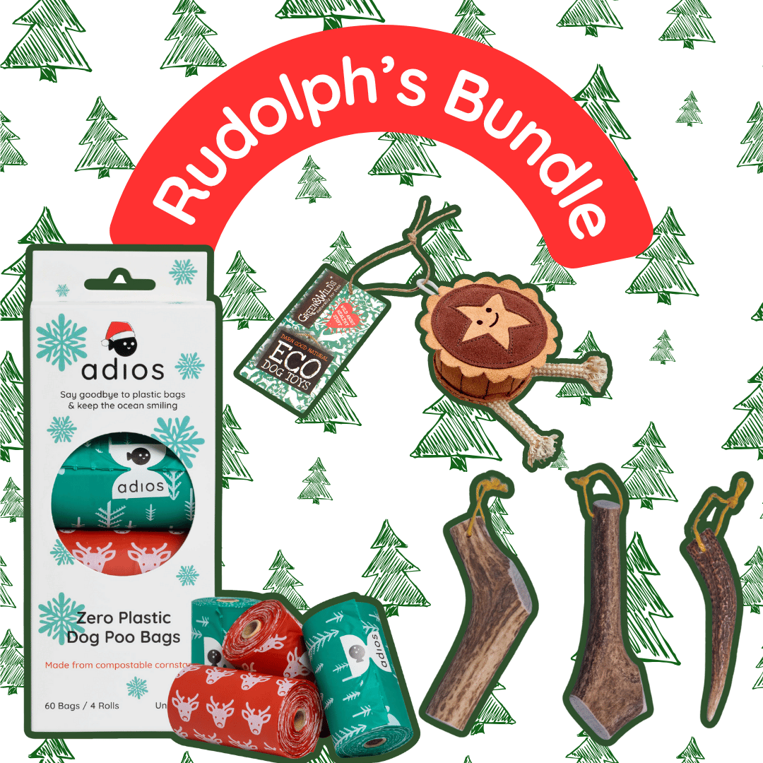 🦌 Rudolph’s Bundle