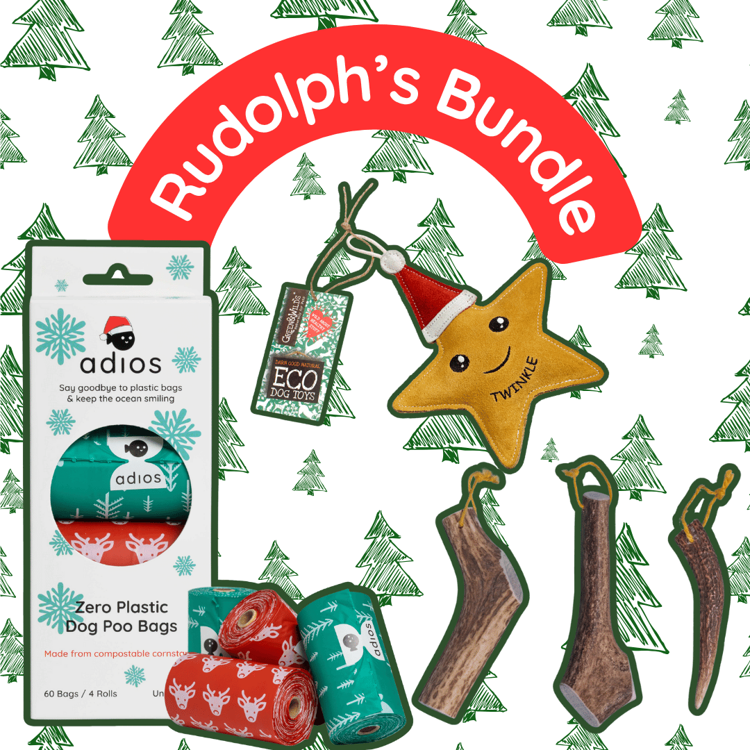 🦌 Rudolph’s Bundle