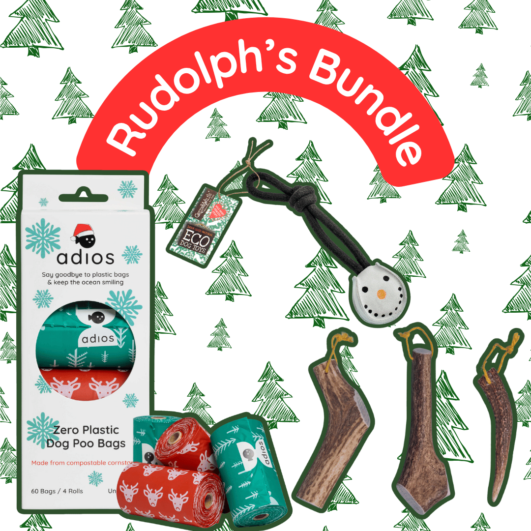 🦌 Rudolph’s Bundle