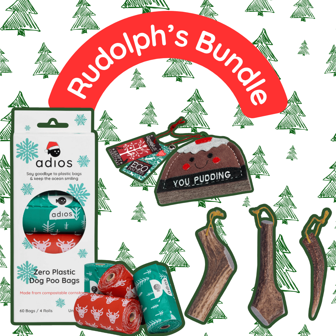 🦌 Rudolph’s Bundle