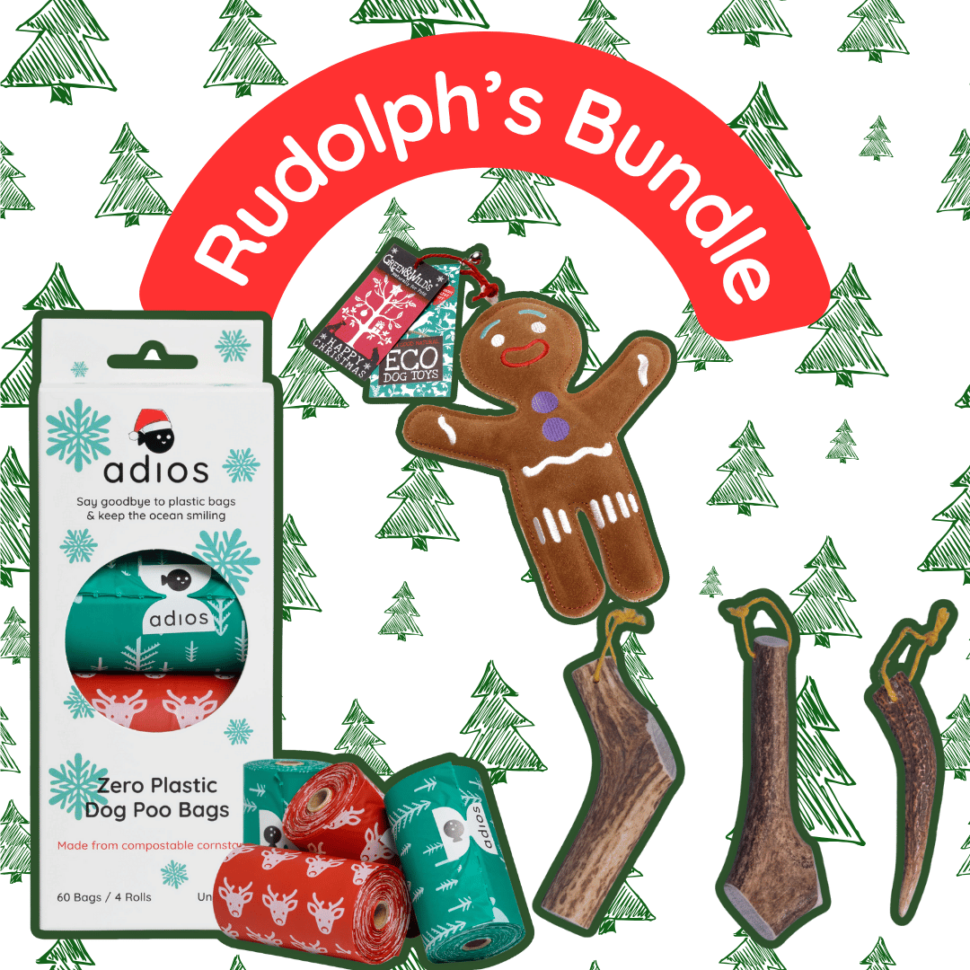 🦌 Rudolph’s Bundle