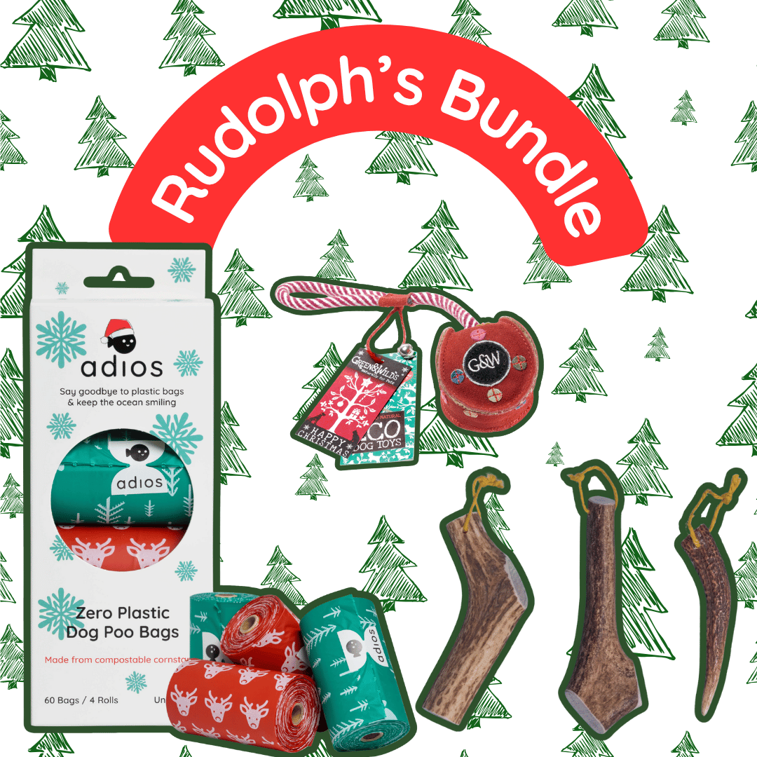 🦌 Rudolph’s Bundle